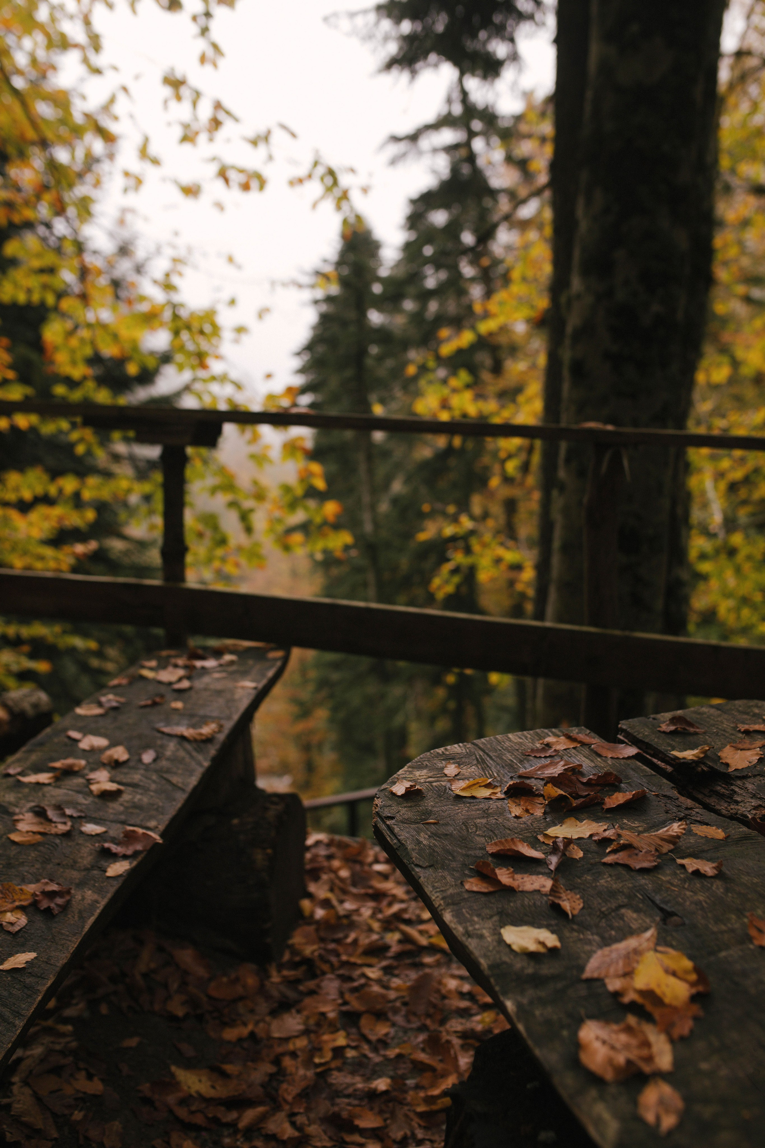 Фотограф Каролина