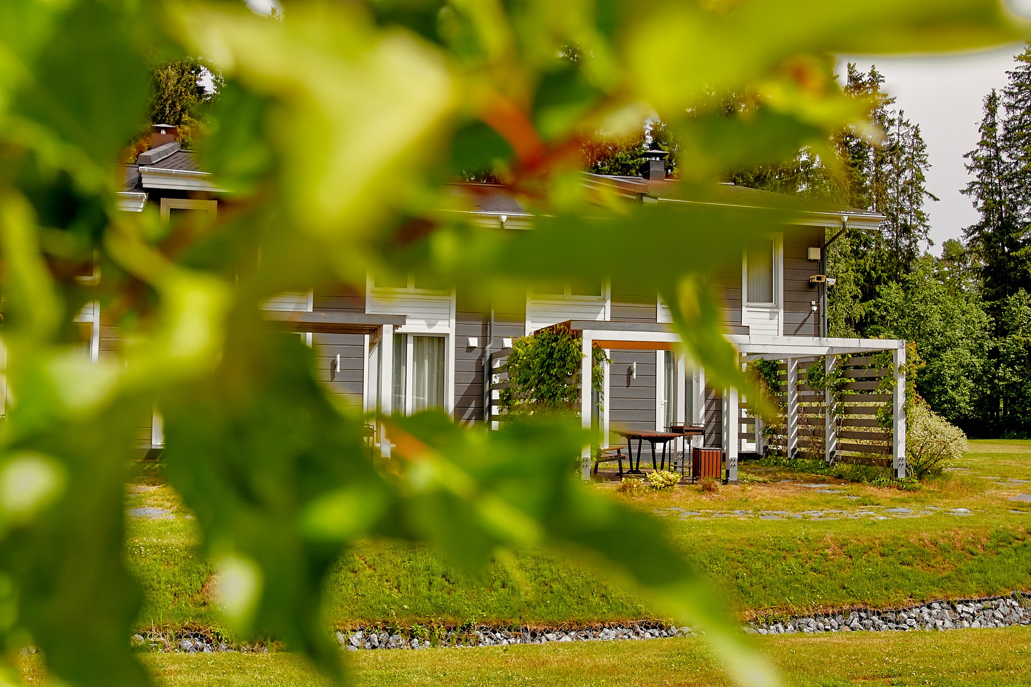 ДАЧА ВИНТЕРА