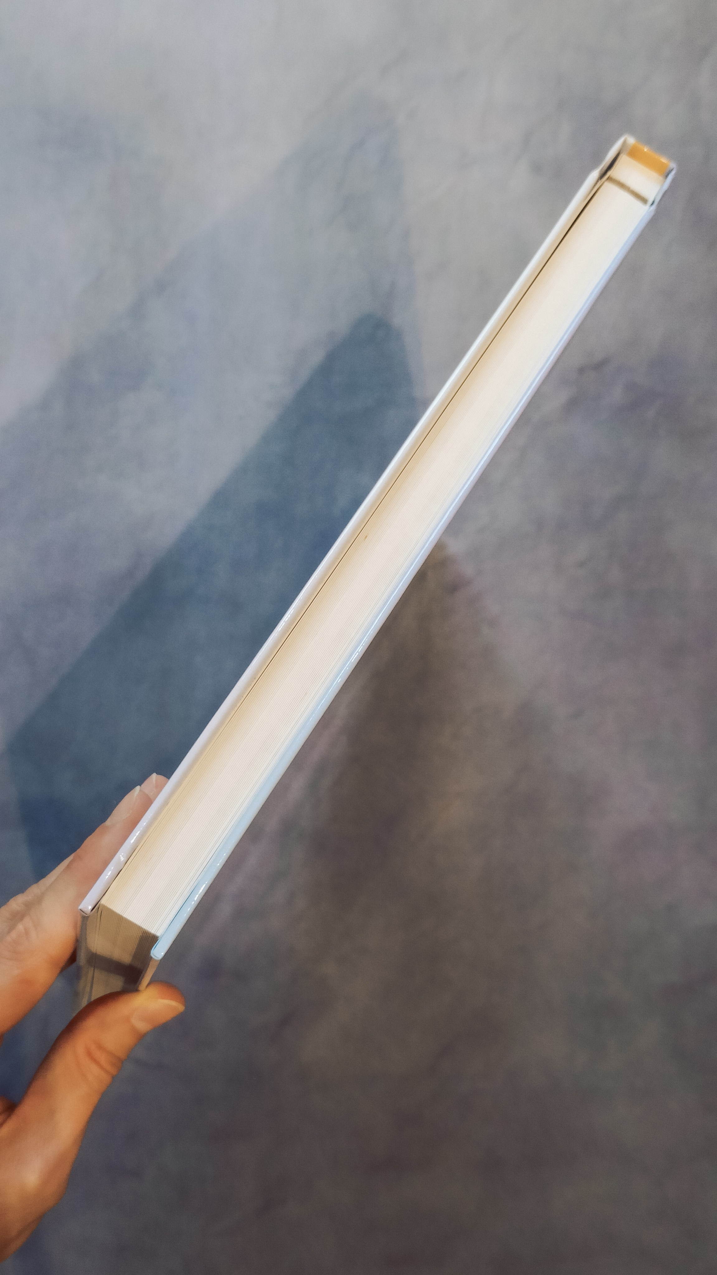 Моя родословная книга. Семейный и детский фотограф в Москве Тихонова Ксения