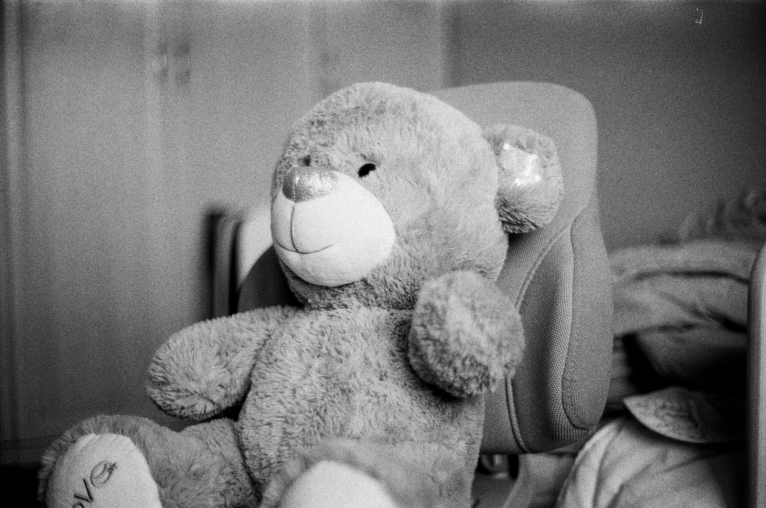 Voigtlander BESSA-T — Voigtlander Color-Scopar 50 mm f/2.5