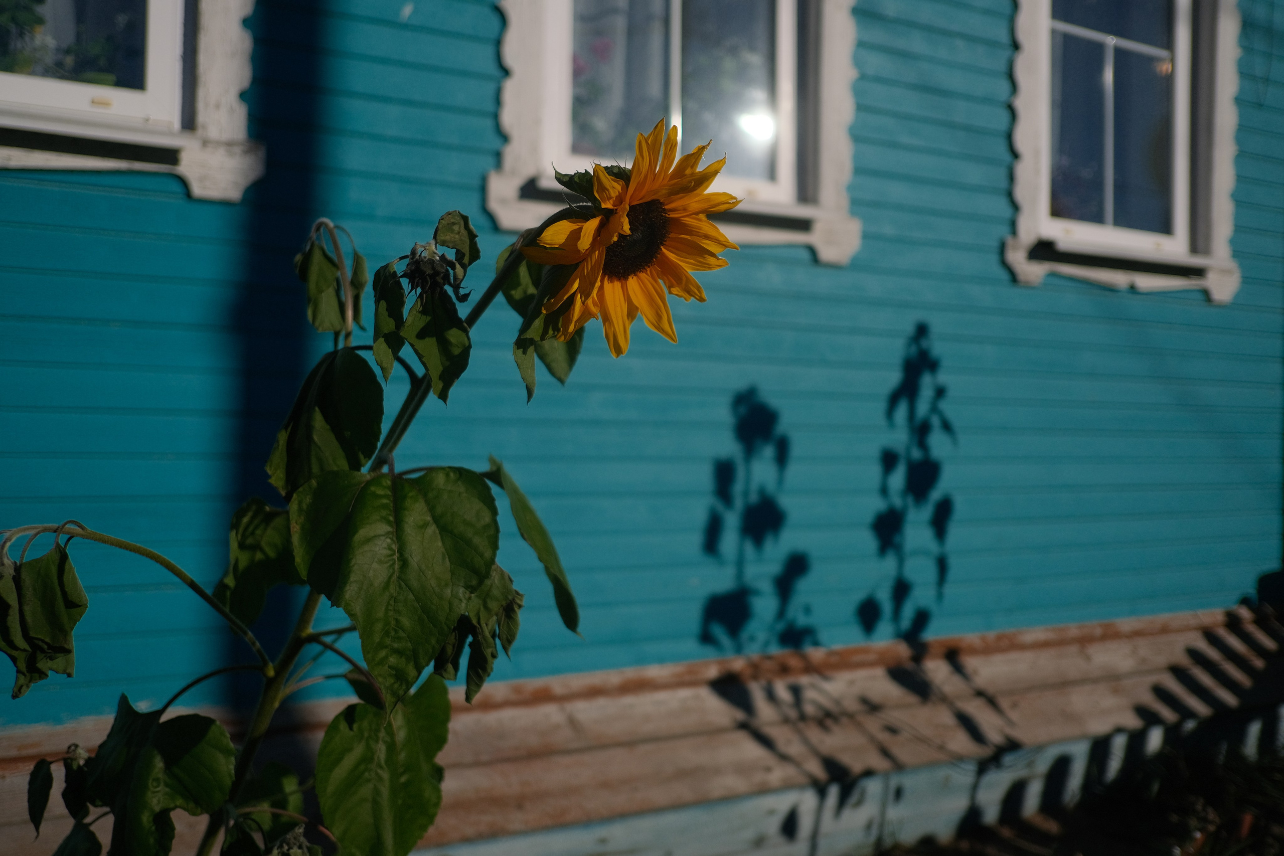 Русский север 27.09.25 — 05.10.25. Фотострелка