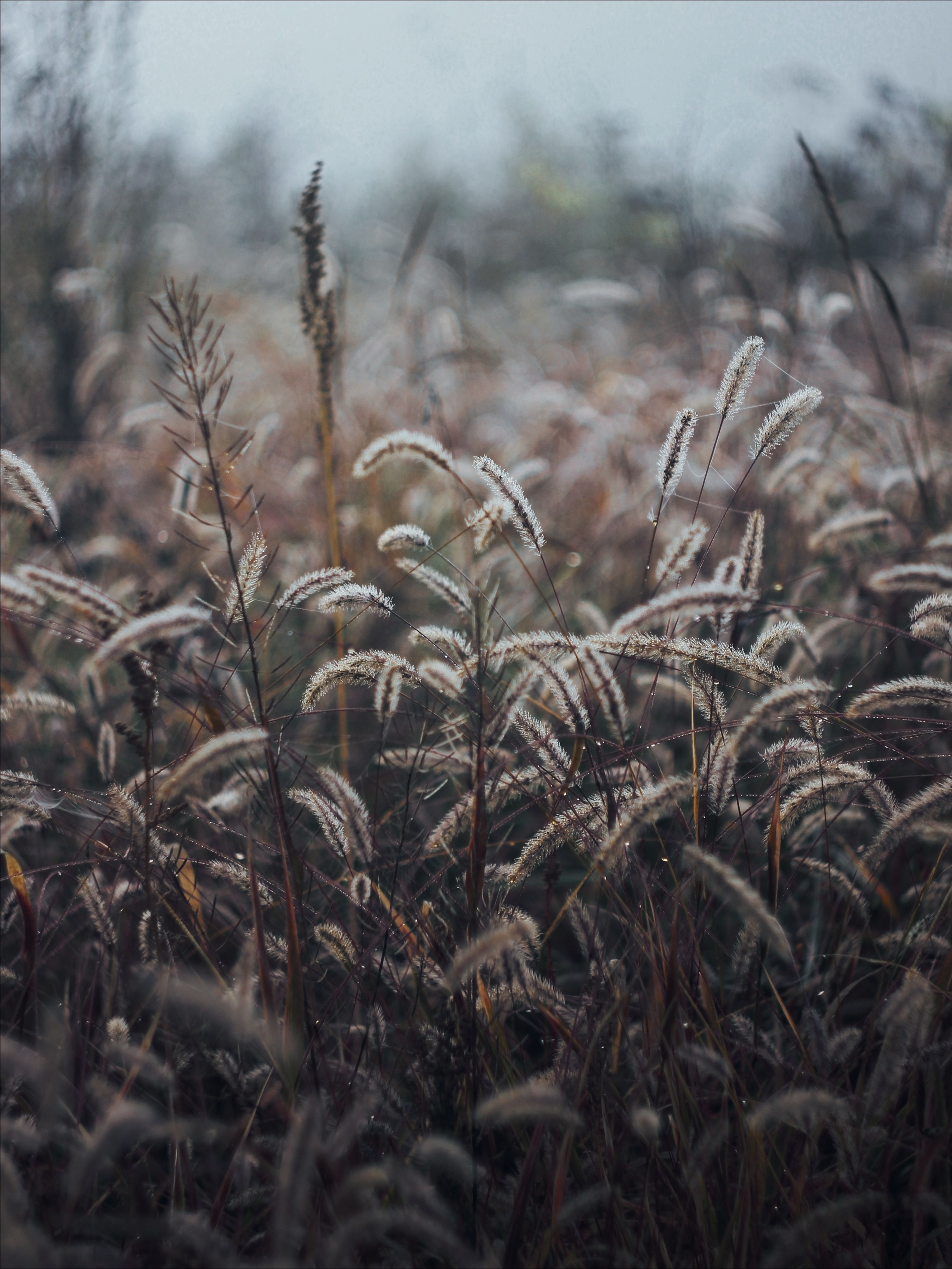 Опустошенность. С любовью, фотохудожник