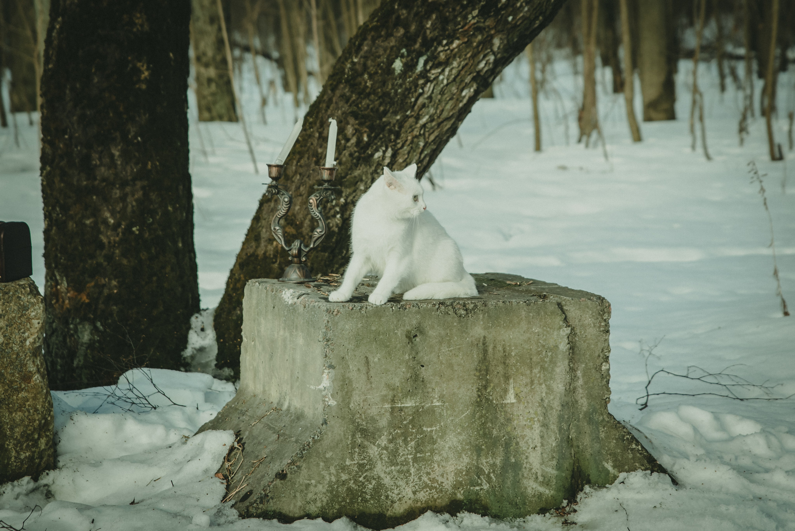 Уэнздей. Фотограф Крещение Венчание Москва