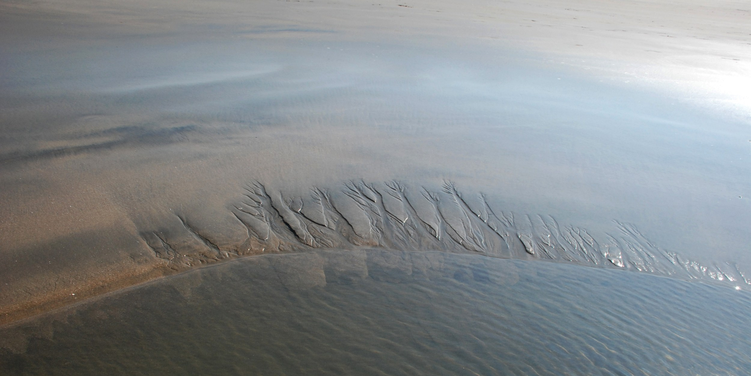 Фотограф Татьяна Андриянова