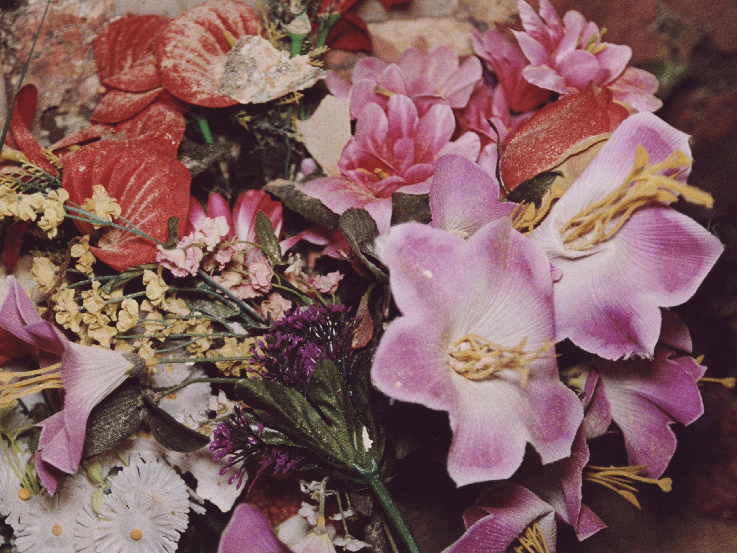 STILL LIFE. Photographer Olya Pegova