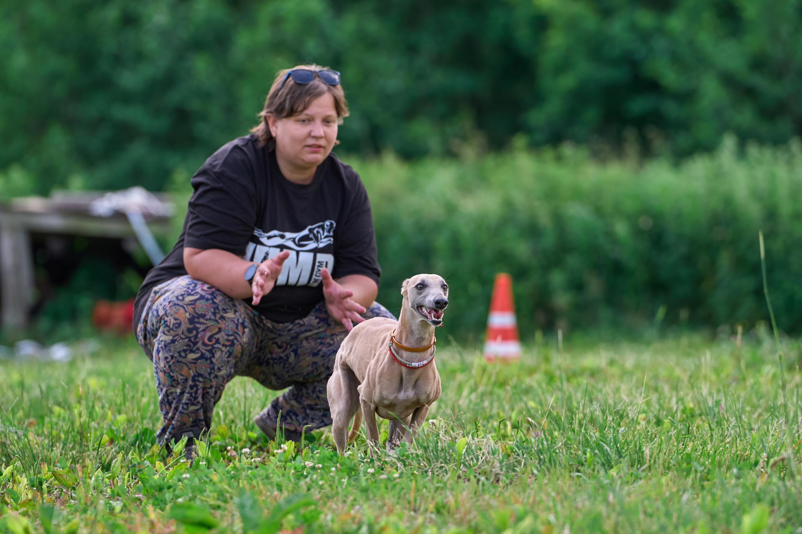 Тренировка по курсингу в Донино. Фотограф-анималист Михаил Манухин