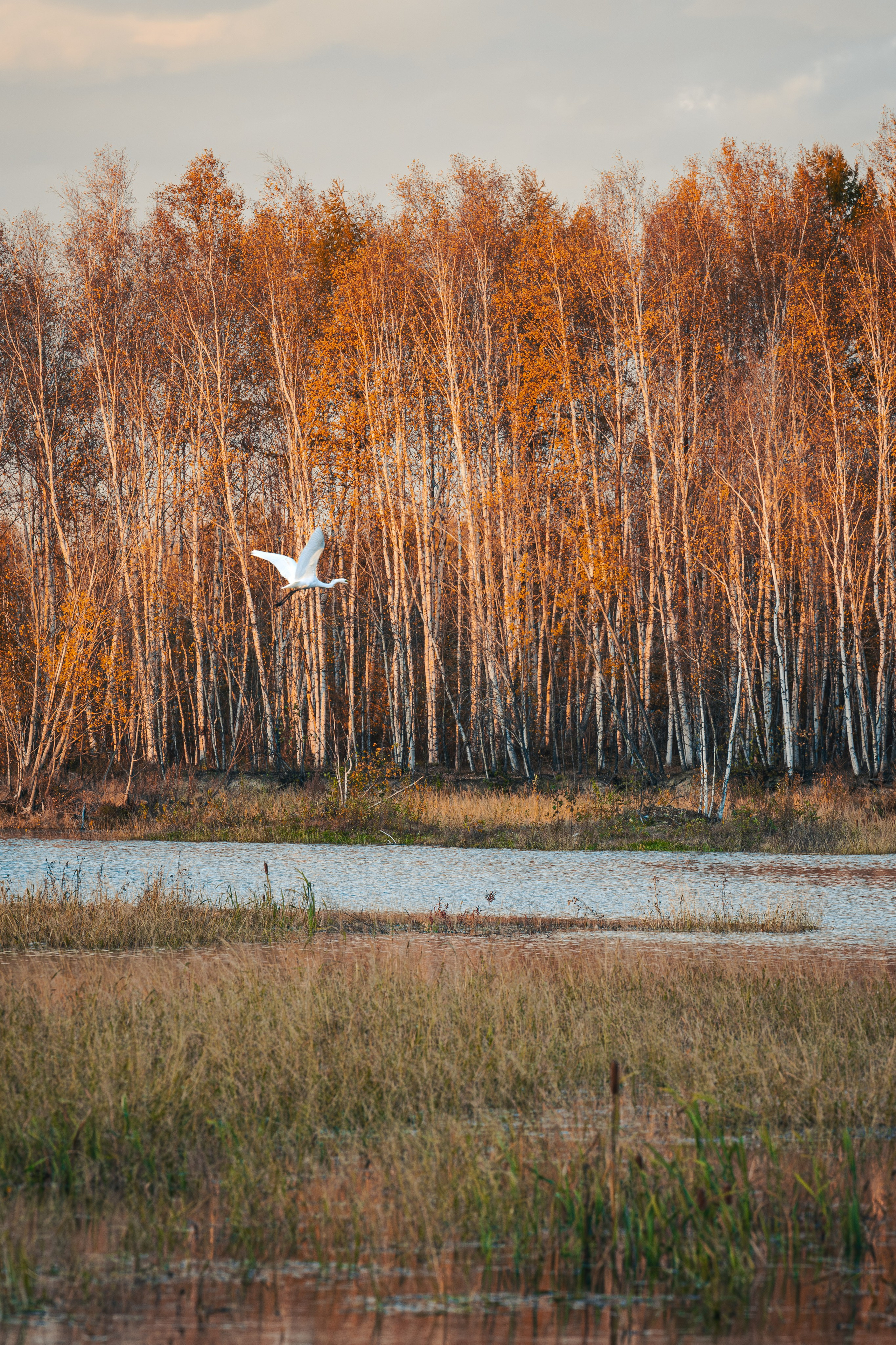 Семейный, репортажный, десткий фотограф Комсомольск-на-Амуре