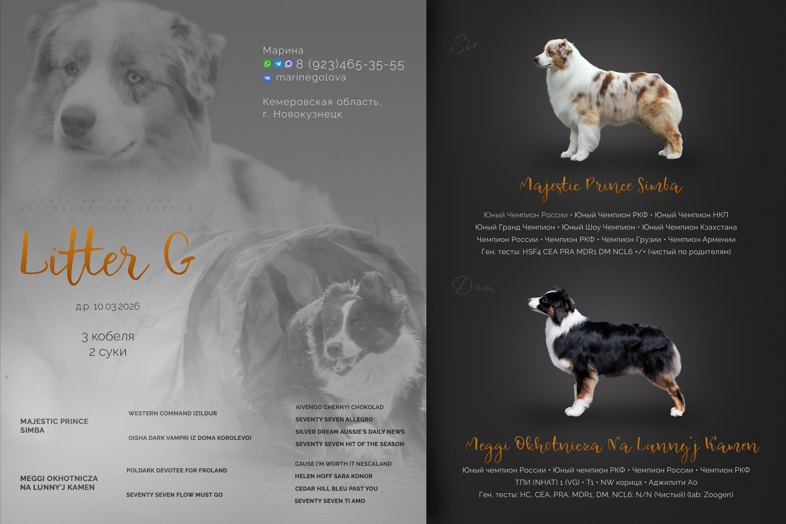 Дизайн. Фотограф-анималист в Калуге Мария Шерскова