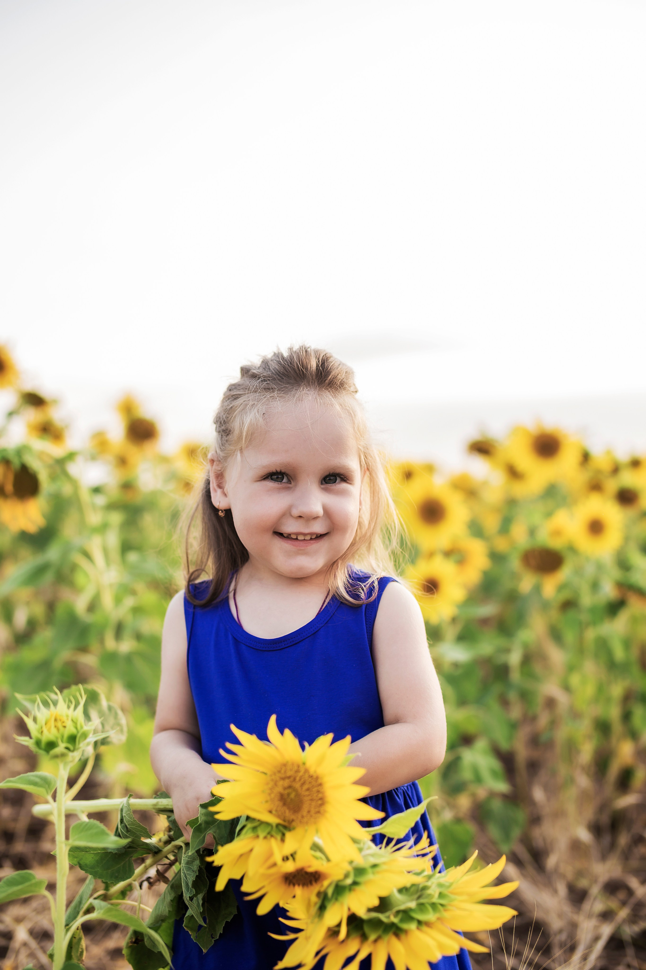 Фото в подсолнухах. Семейный фотограф в Саратове