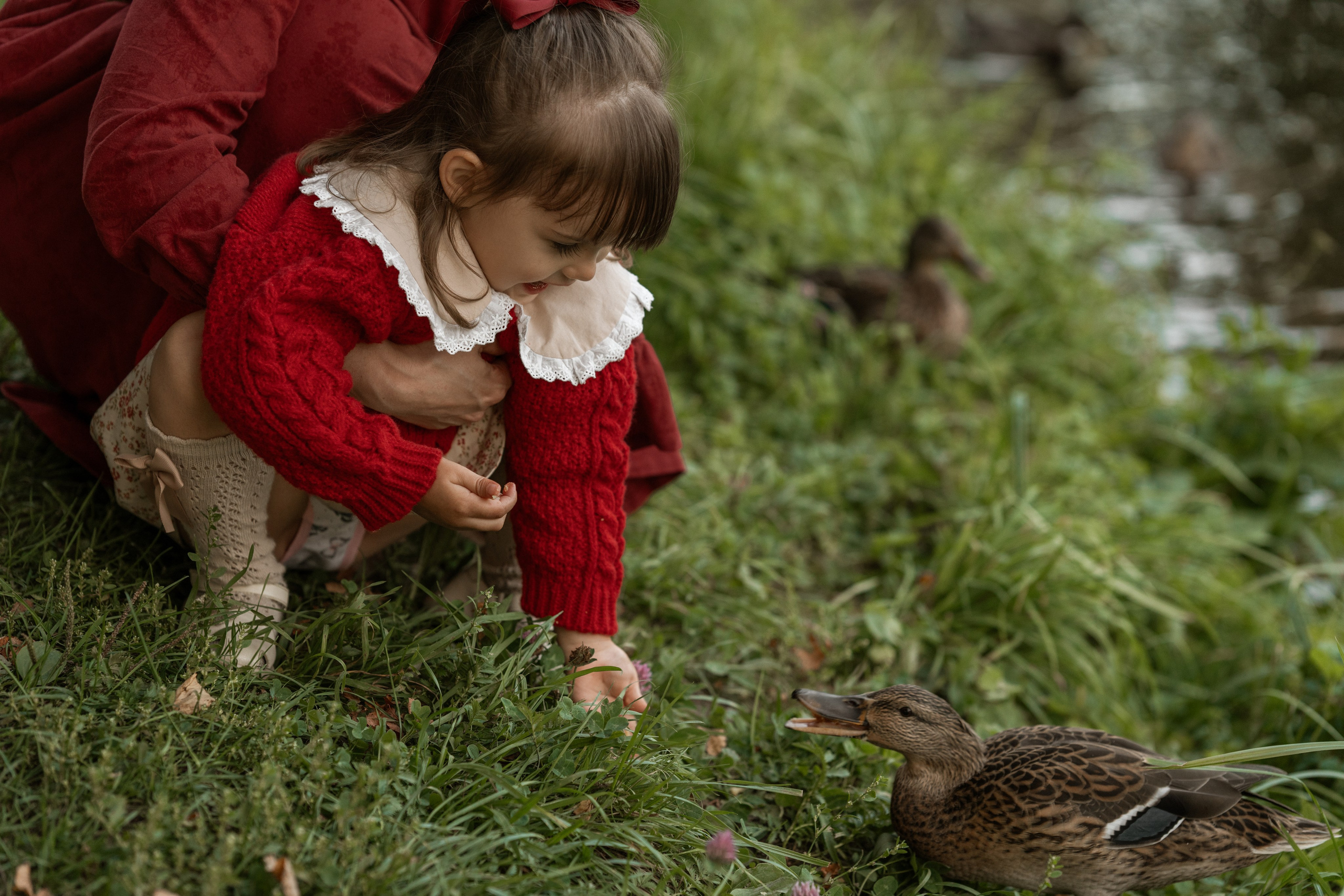 Аня и Полина. Семейный фотограф в Санкт-Петербурге — Наташа Тарасенко