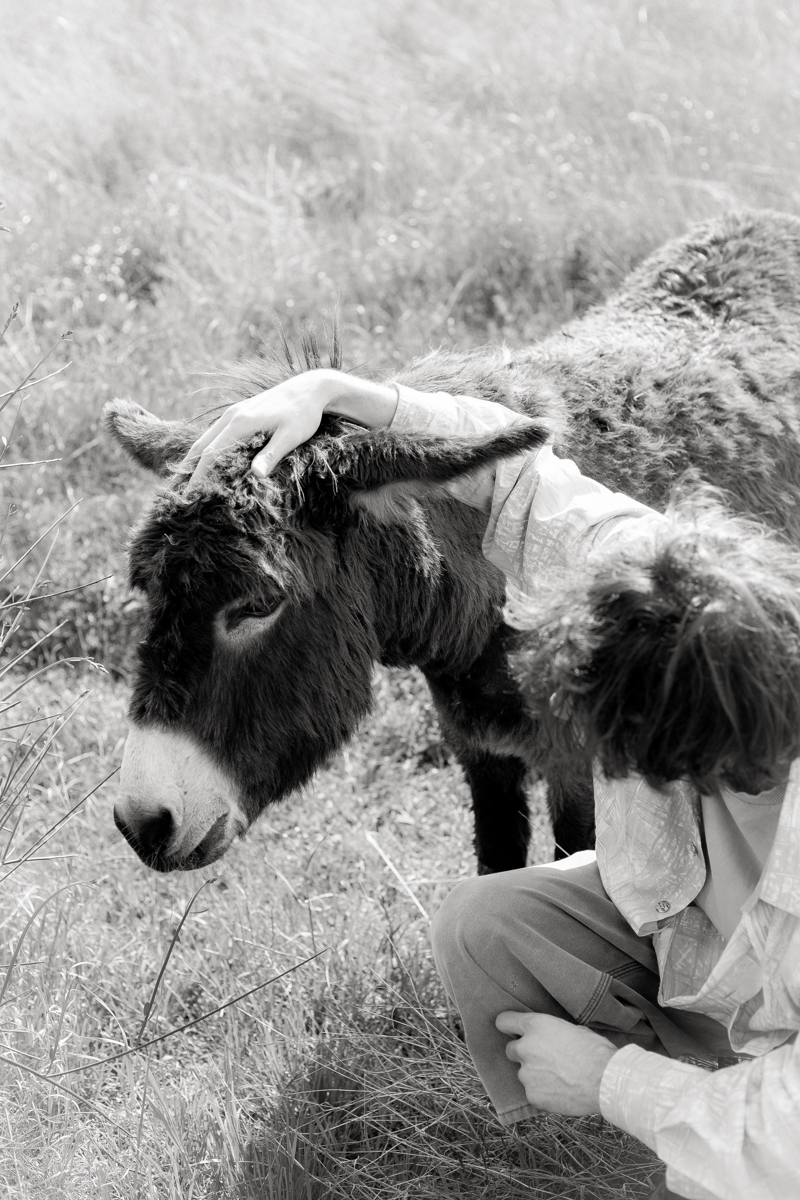 The exhibition under trees. KST