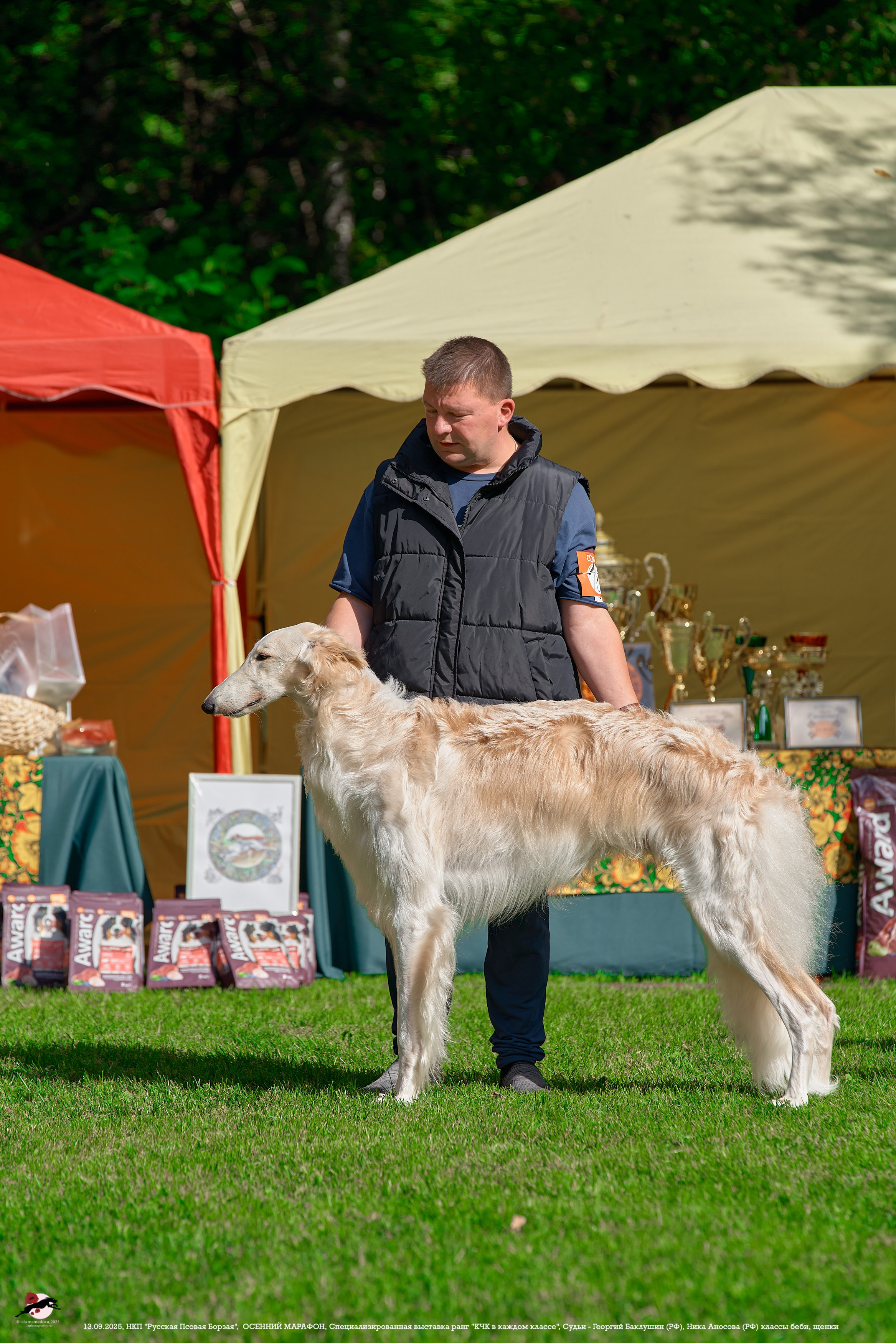 ОСЕННИЙ МАРАФОН | Специализированная выставка породы Русская Псовая Борзая ранг "КЧК в каждом классе"
