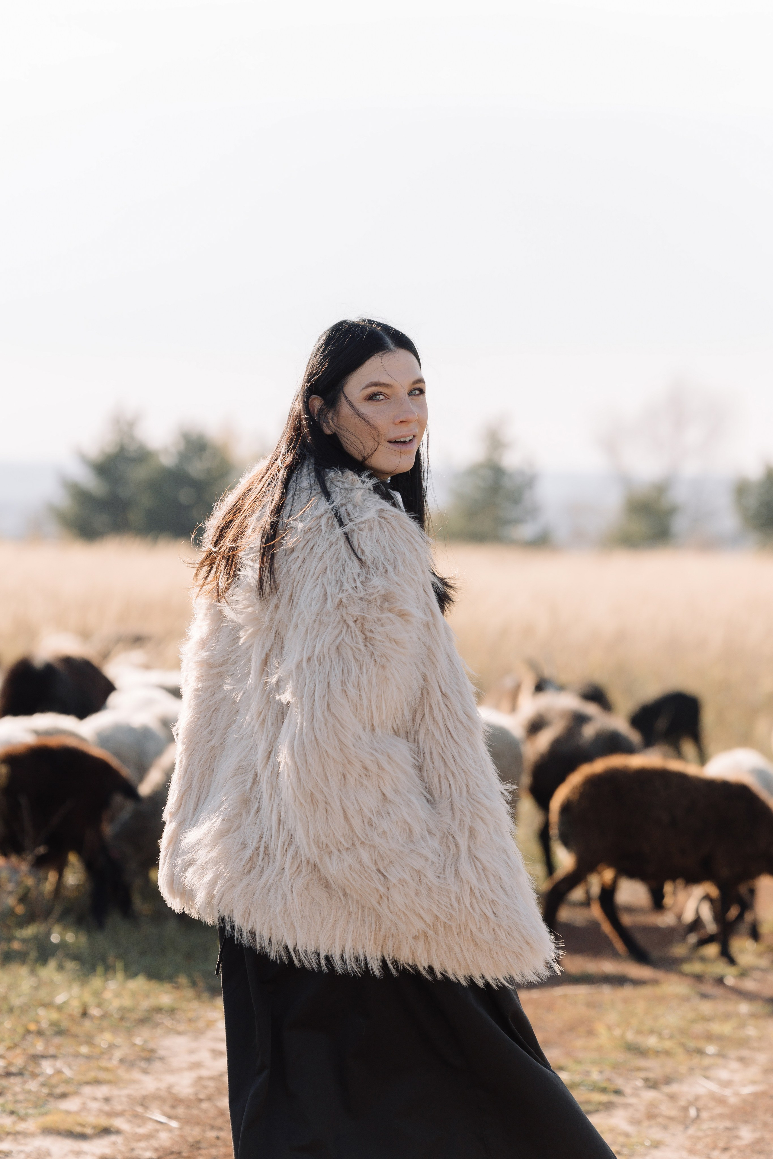 Охота на овец