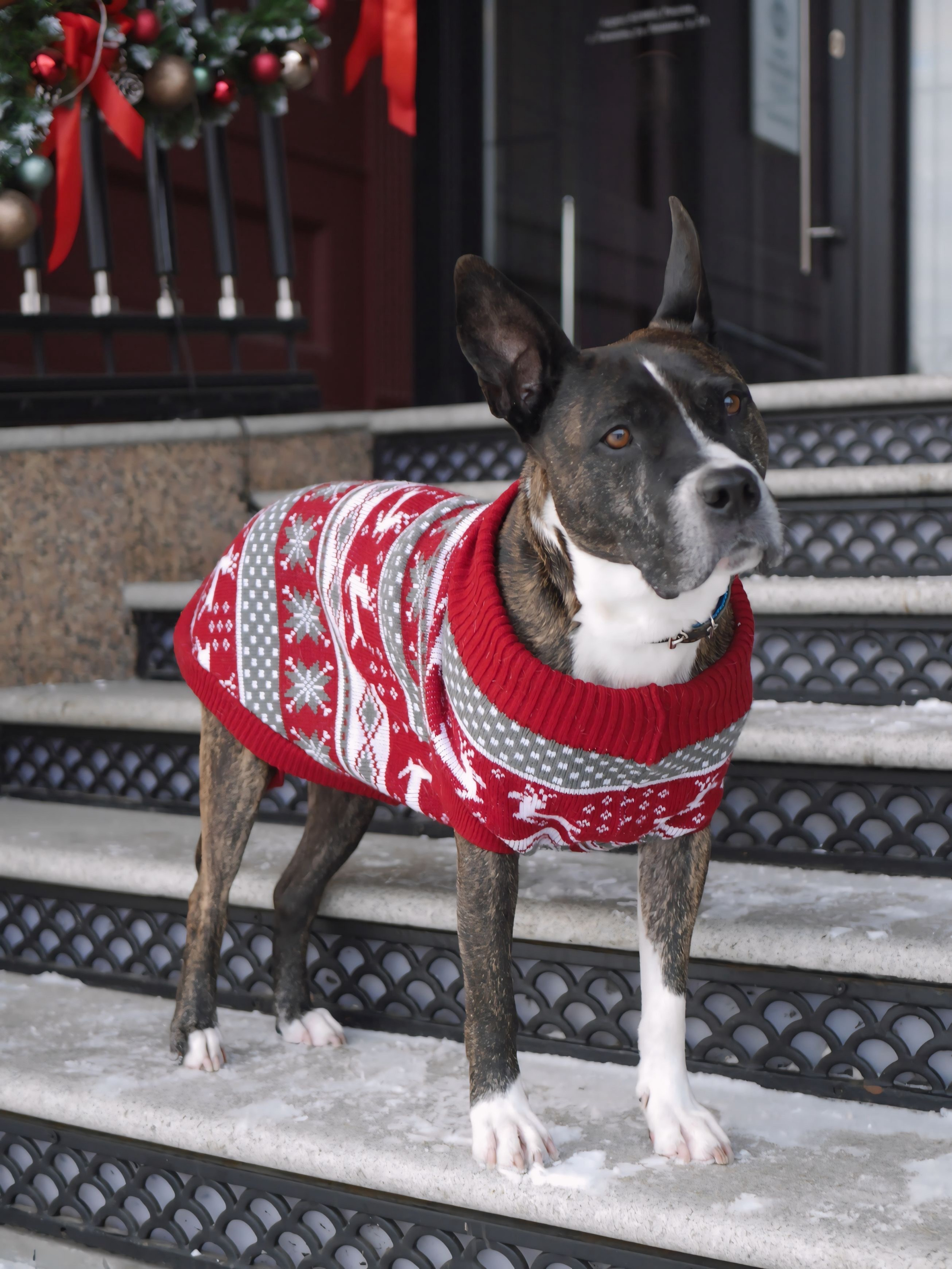 Анастасия и Арчи