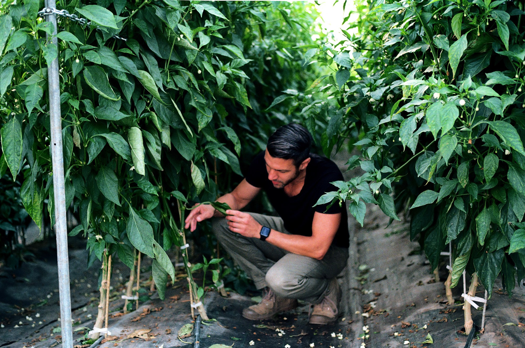 SuperFoodFarm. The history of the farm. Another person Pavel Potseluev. A photographer in 2025