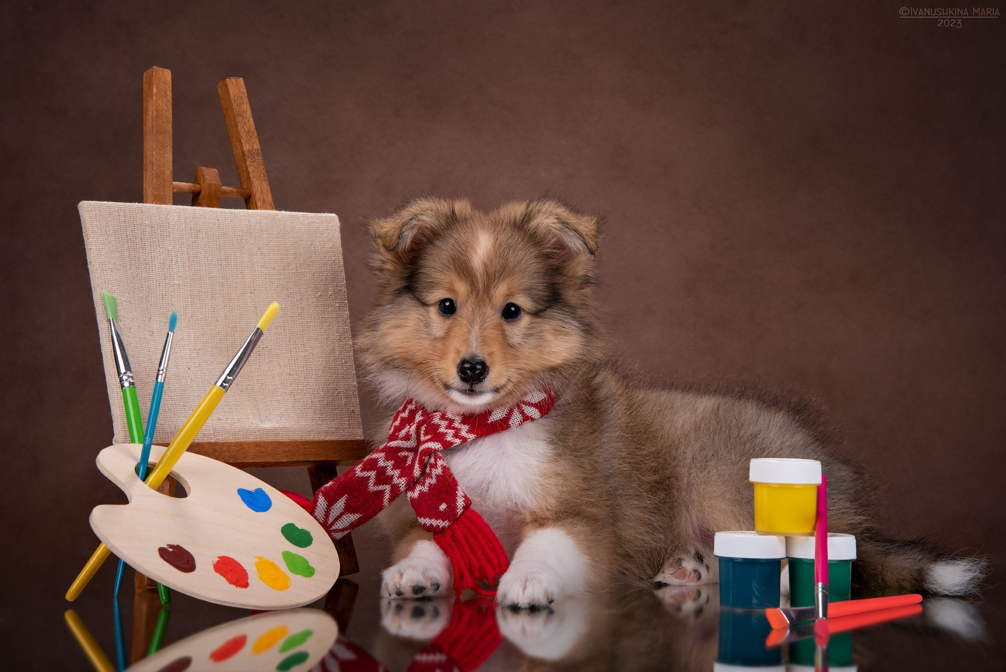 Фотосессия щенков на фонах. Фотограф собак в Москве и Московской области Иванушкина Мария