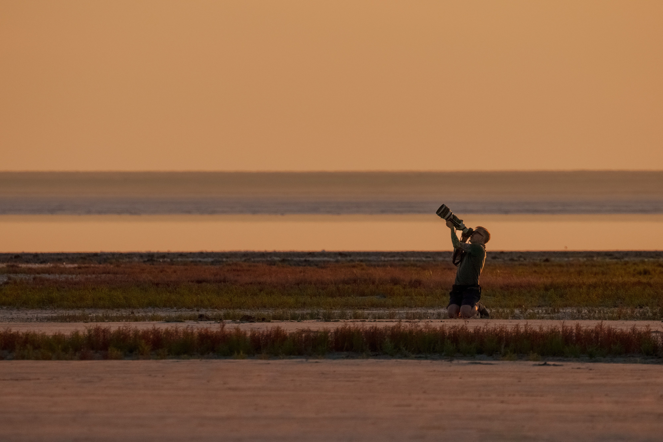 Эльтон: весенний пролет птиц