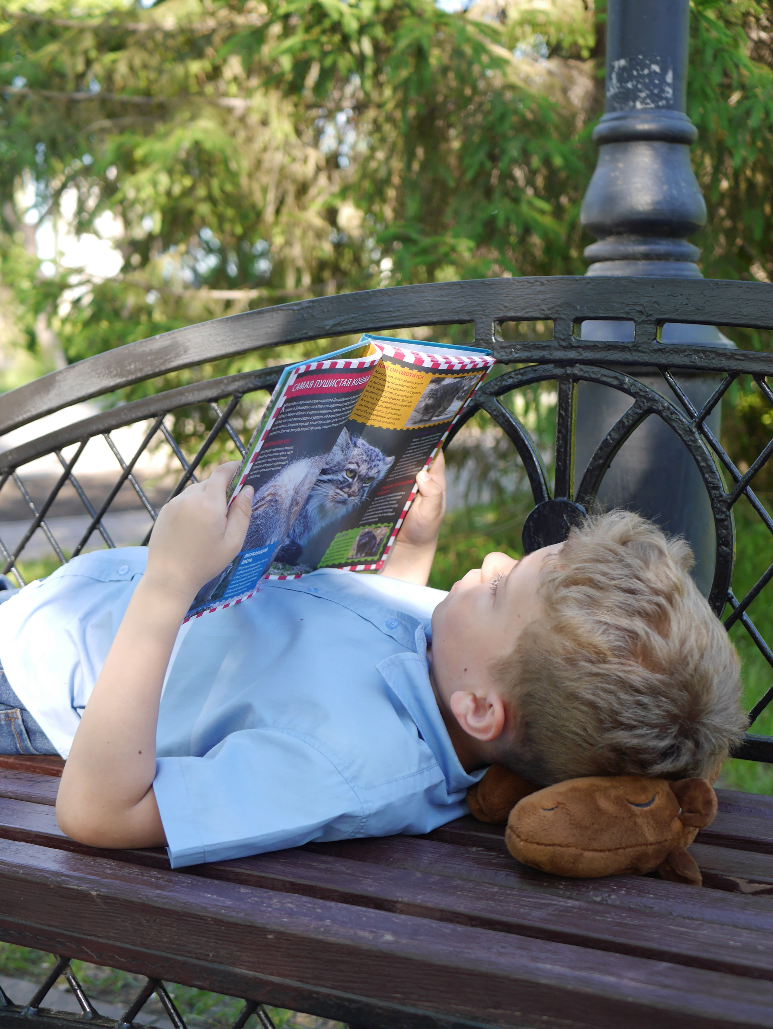 Катюша и её большая семья