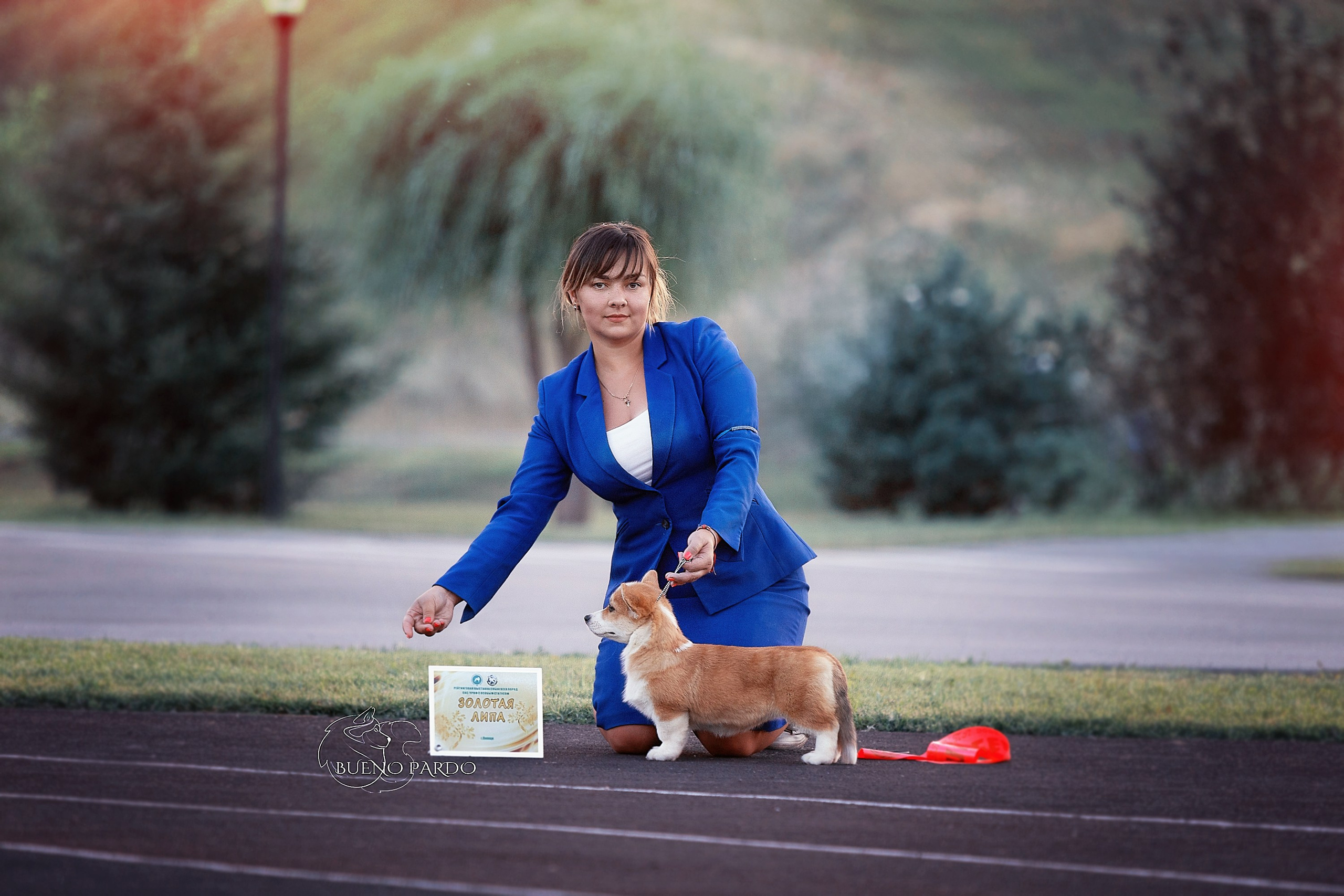 Собаки питомника Bueno Pardo. Питомник собак Акита, Хаски, Корги