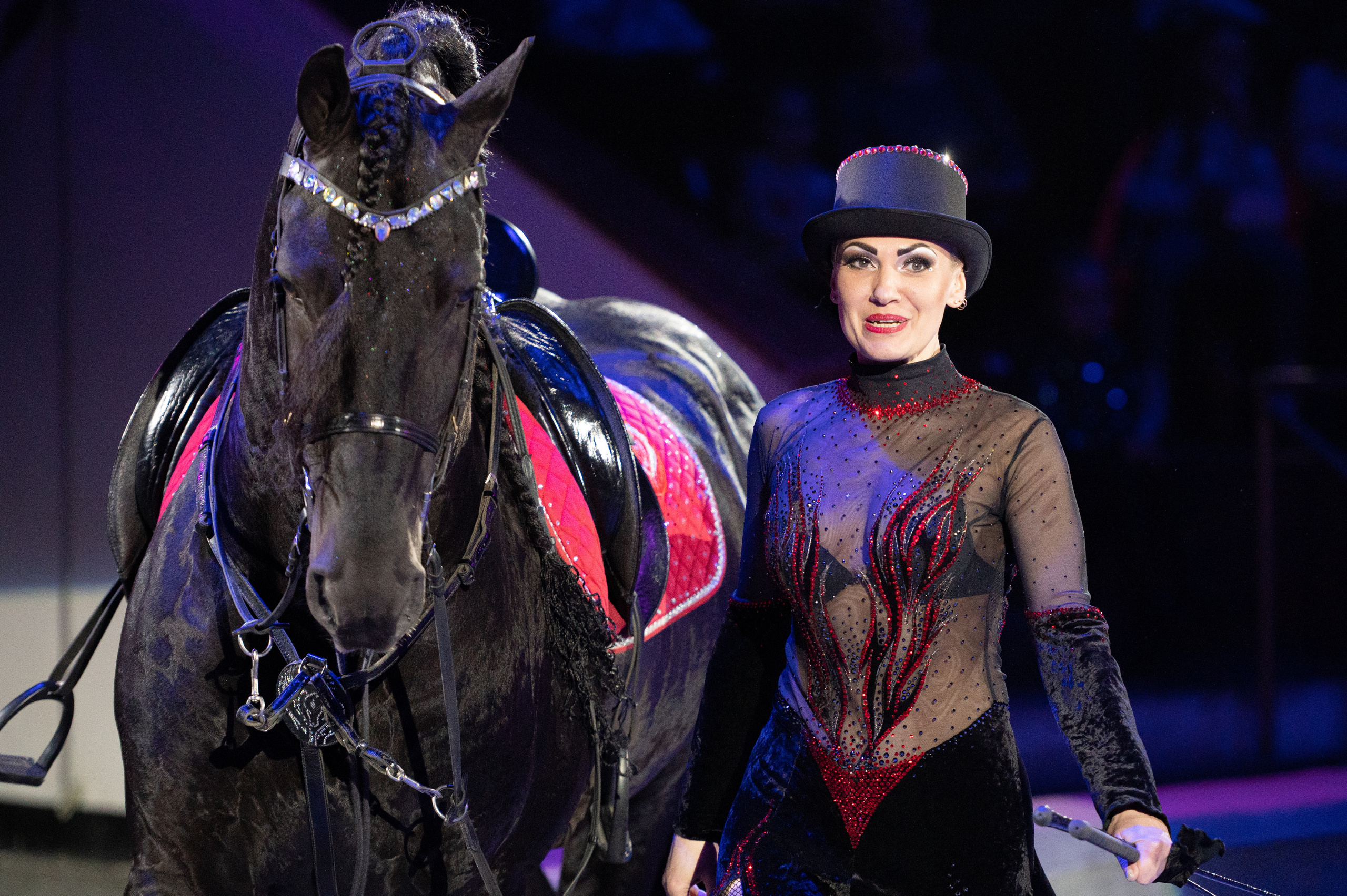 Тверской цирк «Юбилейная программа». Конный и фотограф с животными в Твери Топталова Люся