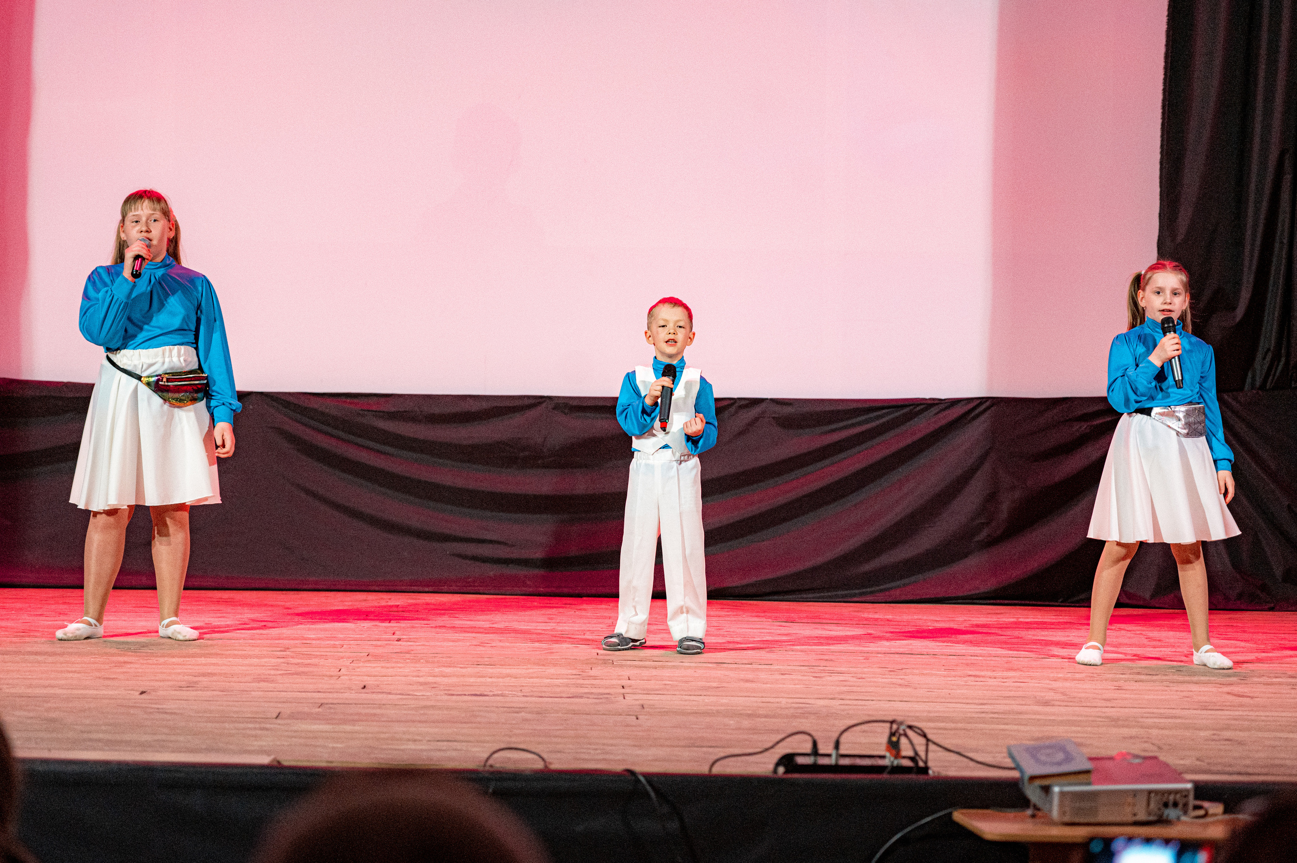 Истоки — концерт посвященный дню работников культуры. Конный и фотограф с животными в Твери Топталова Люся