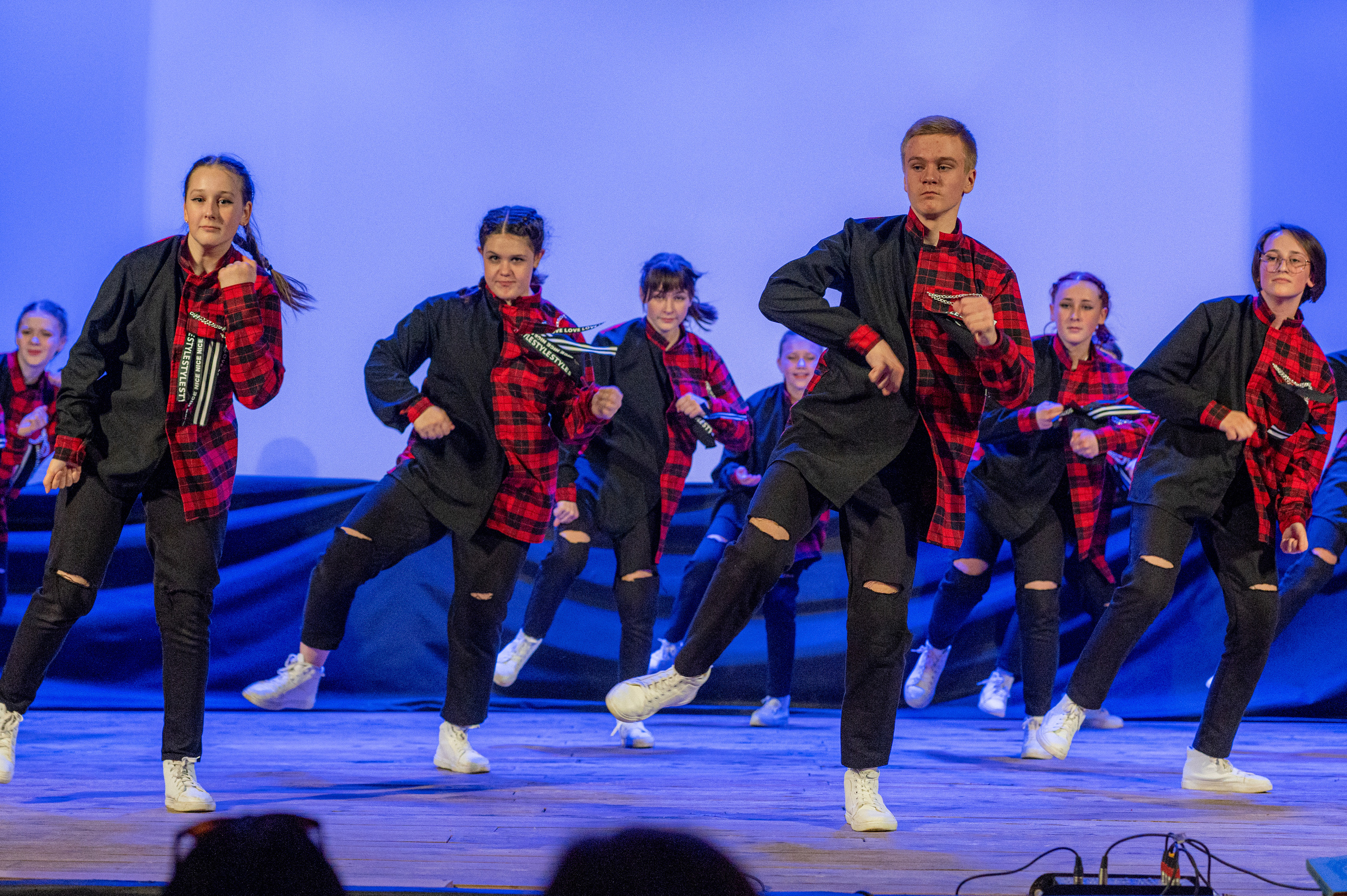 Истоки — концерт посвященный дню работников культуры. Конный и фотограф с животными в Твери Топталова Люся