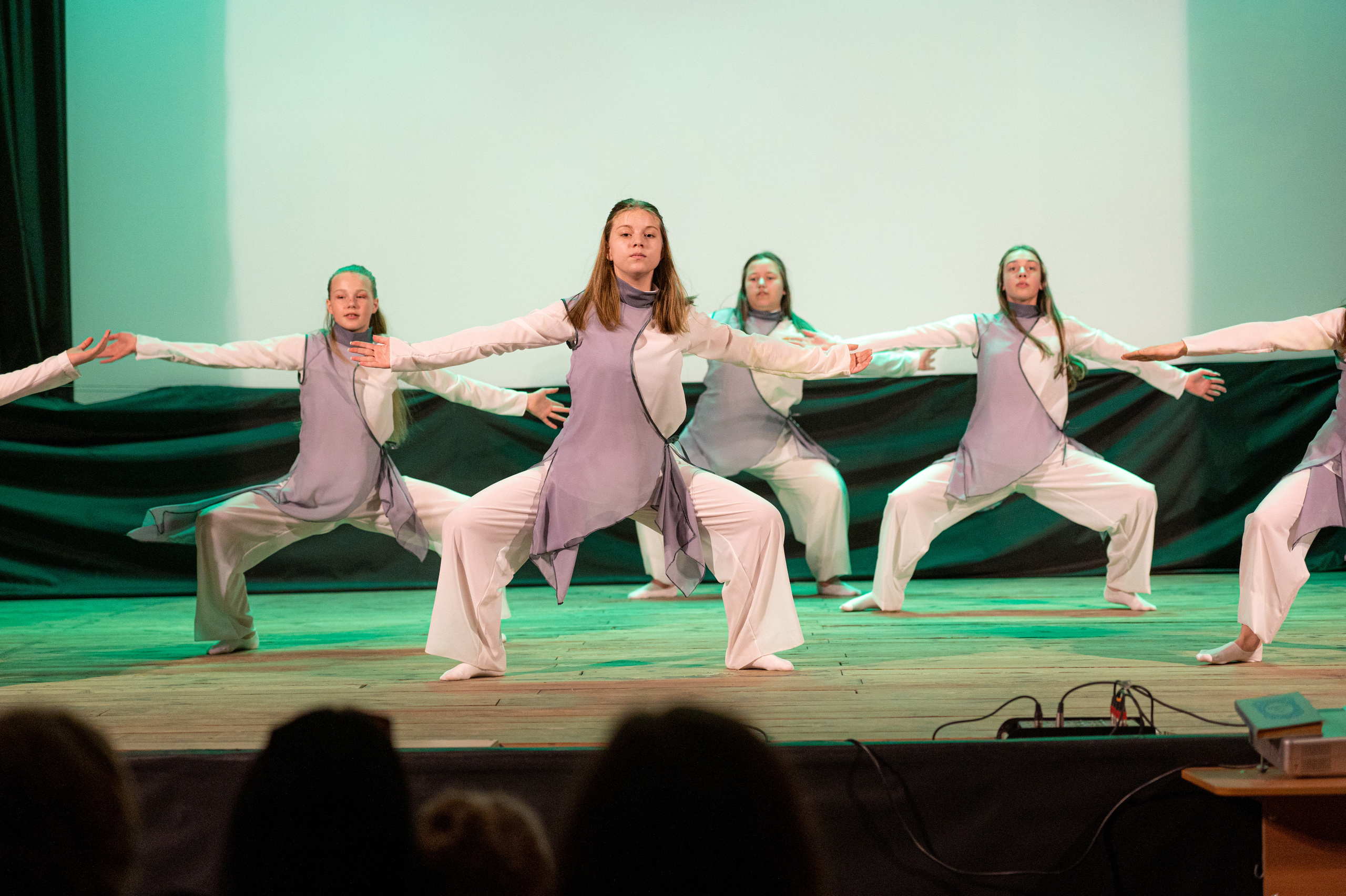 Истоки — концерт посвященный дню работников культуры. Конный и фотограф с животными в Твери Топталова Люся