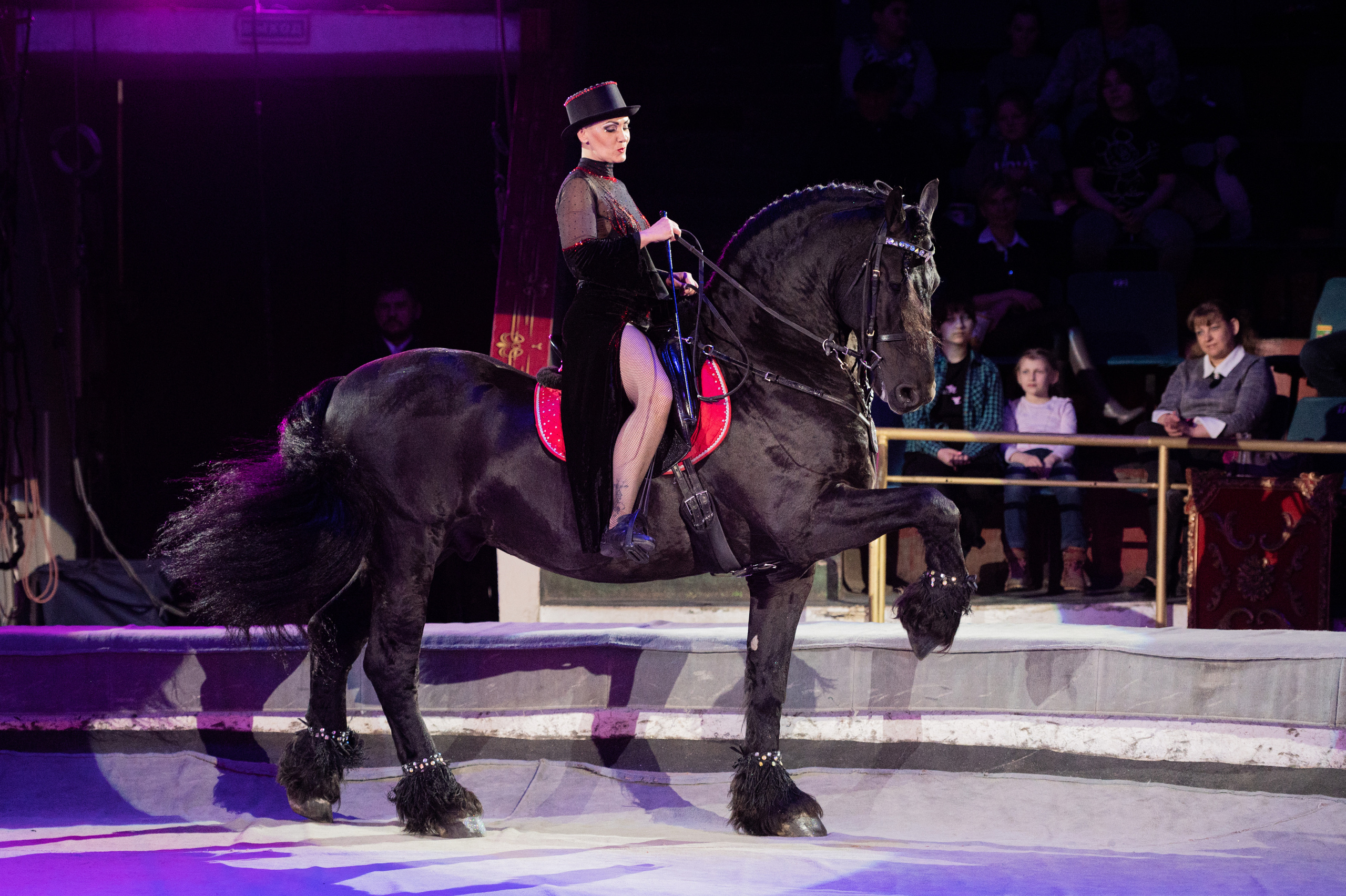 Тверской цирк «Юбилейная программа». Конный и фотограф с животными в Твери Топталова Люся