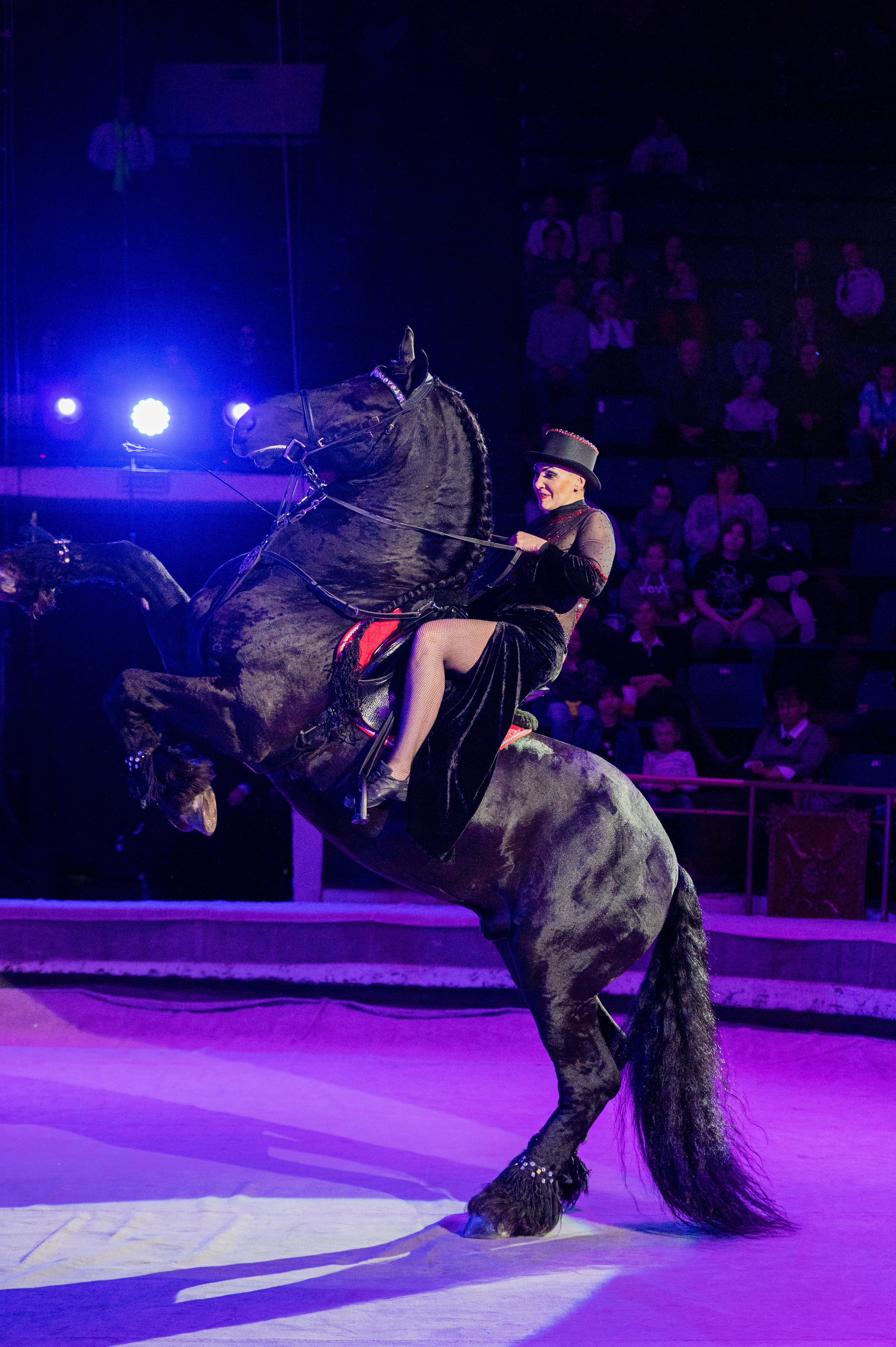 Тверской цирк «Юбилейная программа». Конный и фотограф с животными в Твери Топталова Люся
