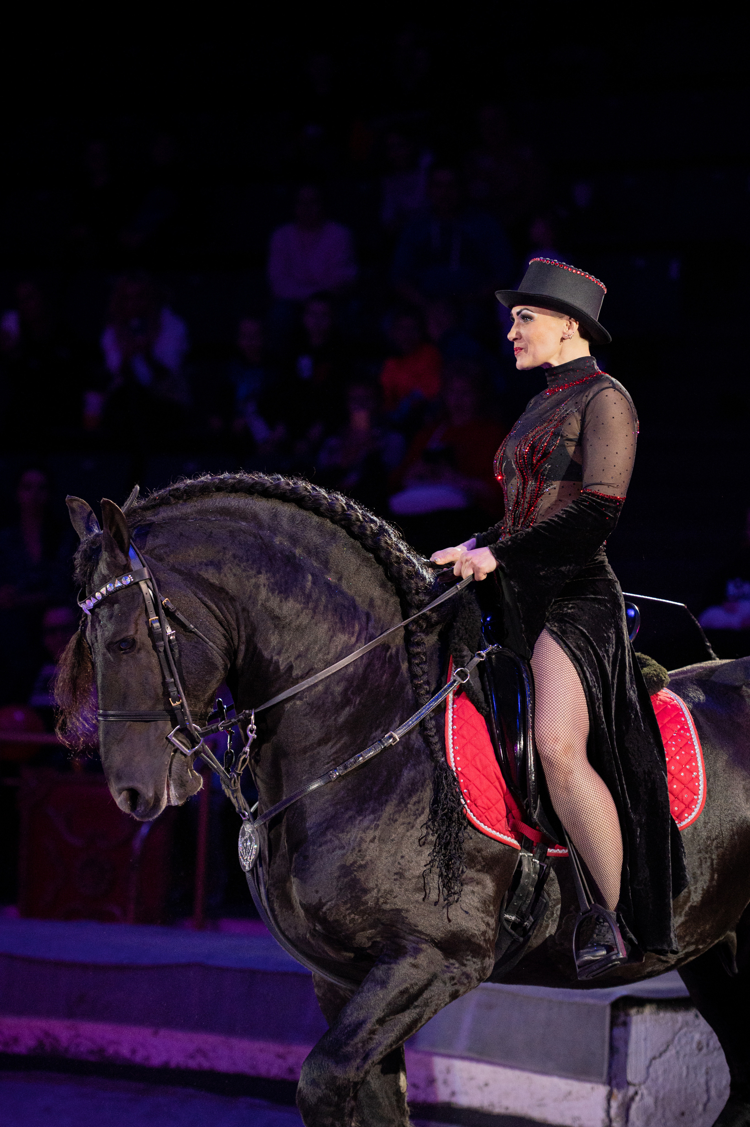 Тверской цирк «Юбилейная программа». Конный и фотограф с животными в Твери Топталова Люся