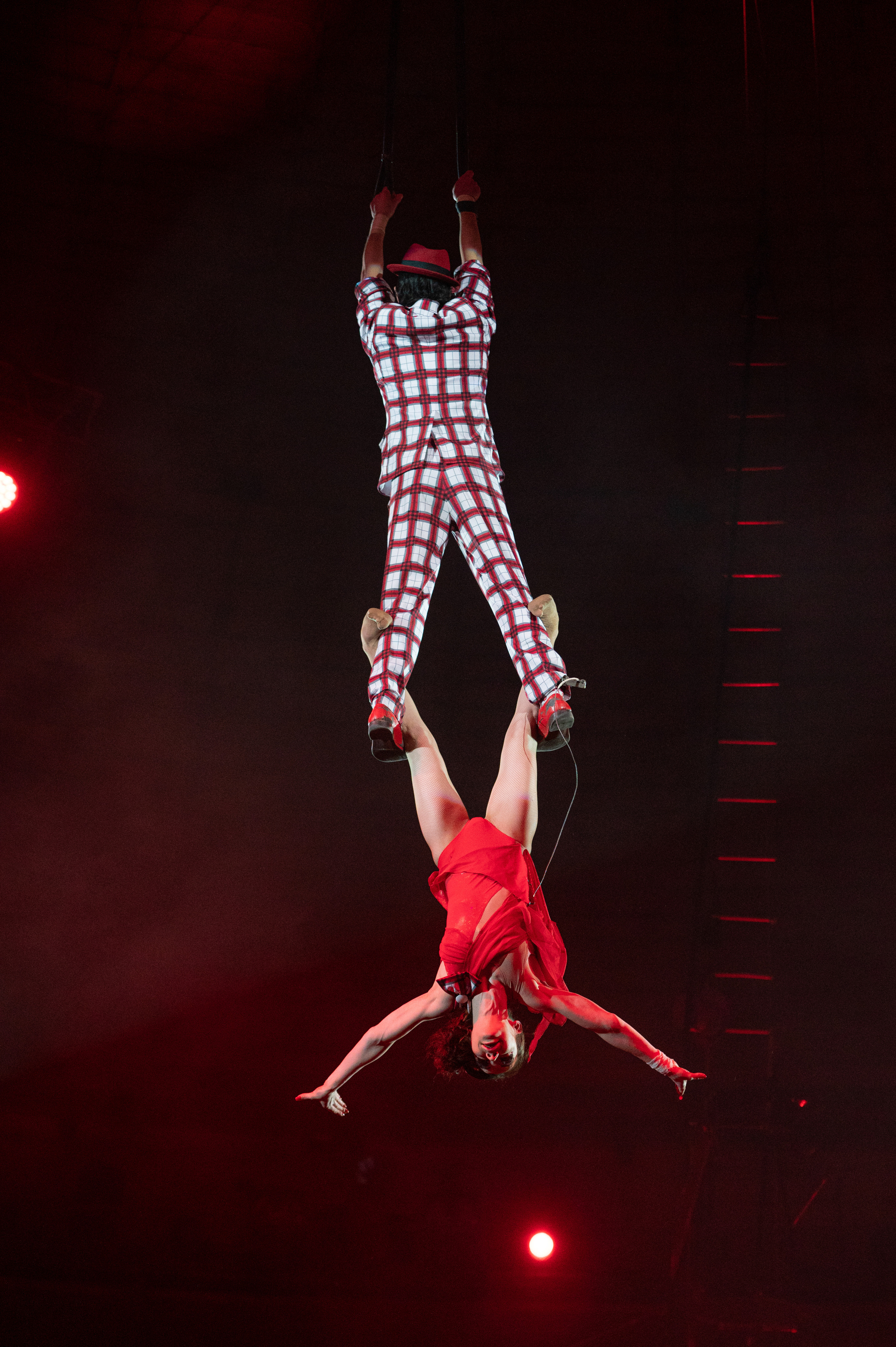 Тверской цирк «Юбилейная программа». Конный и фотограф с животными в Твери Топталова Люся