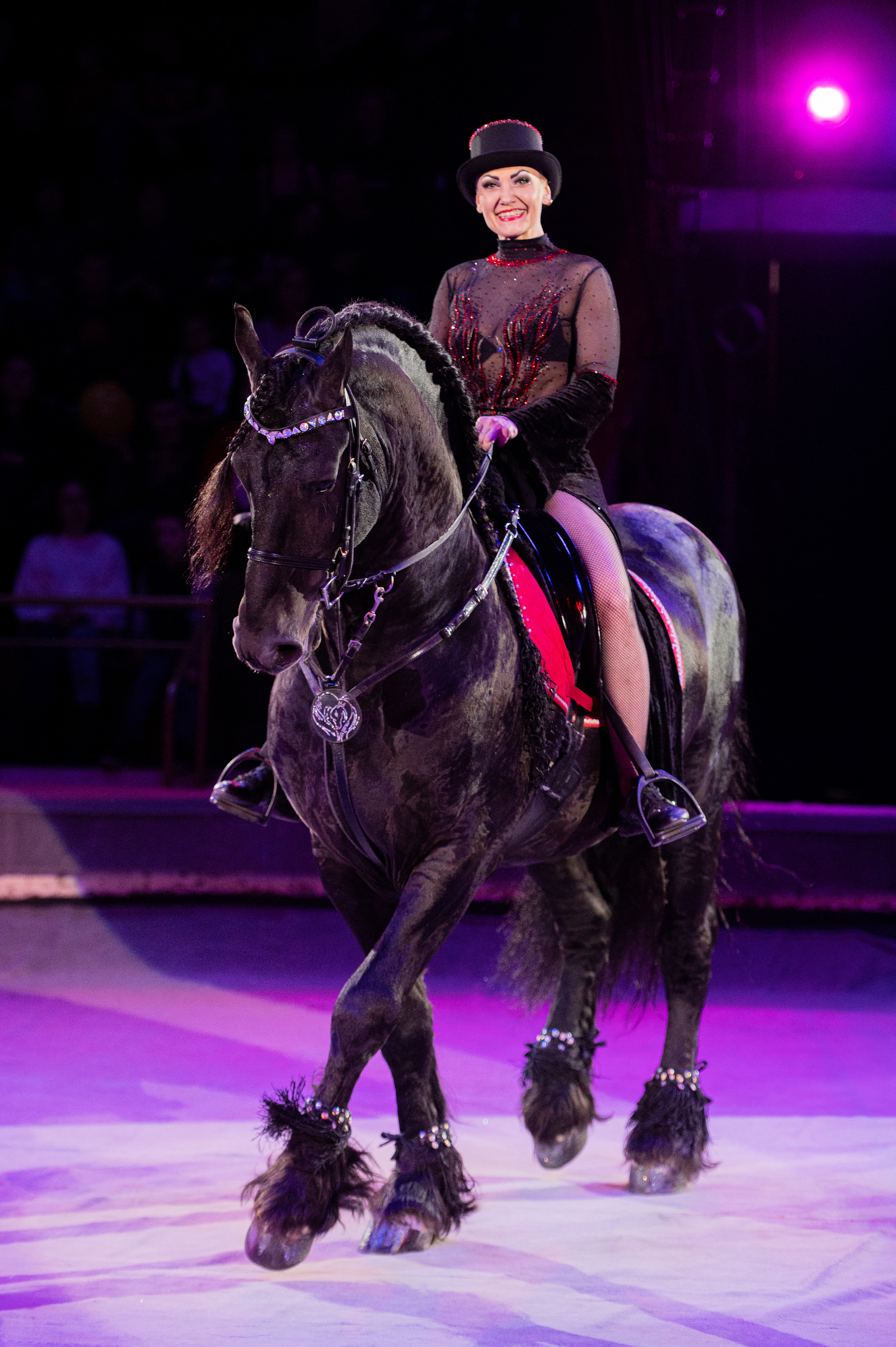 Тверской цирк «Юбилейная программа». Конный и фотограф с животными в Твери Топталова Люся