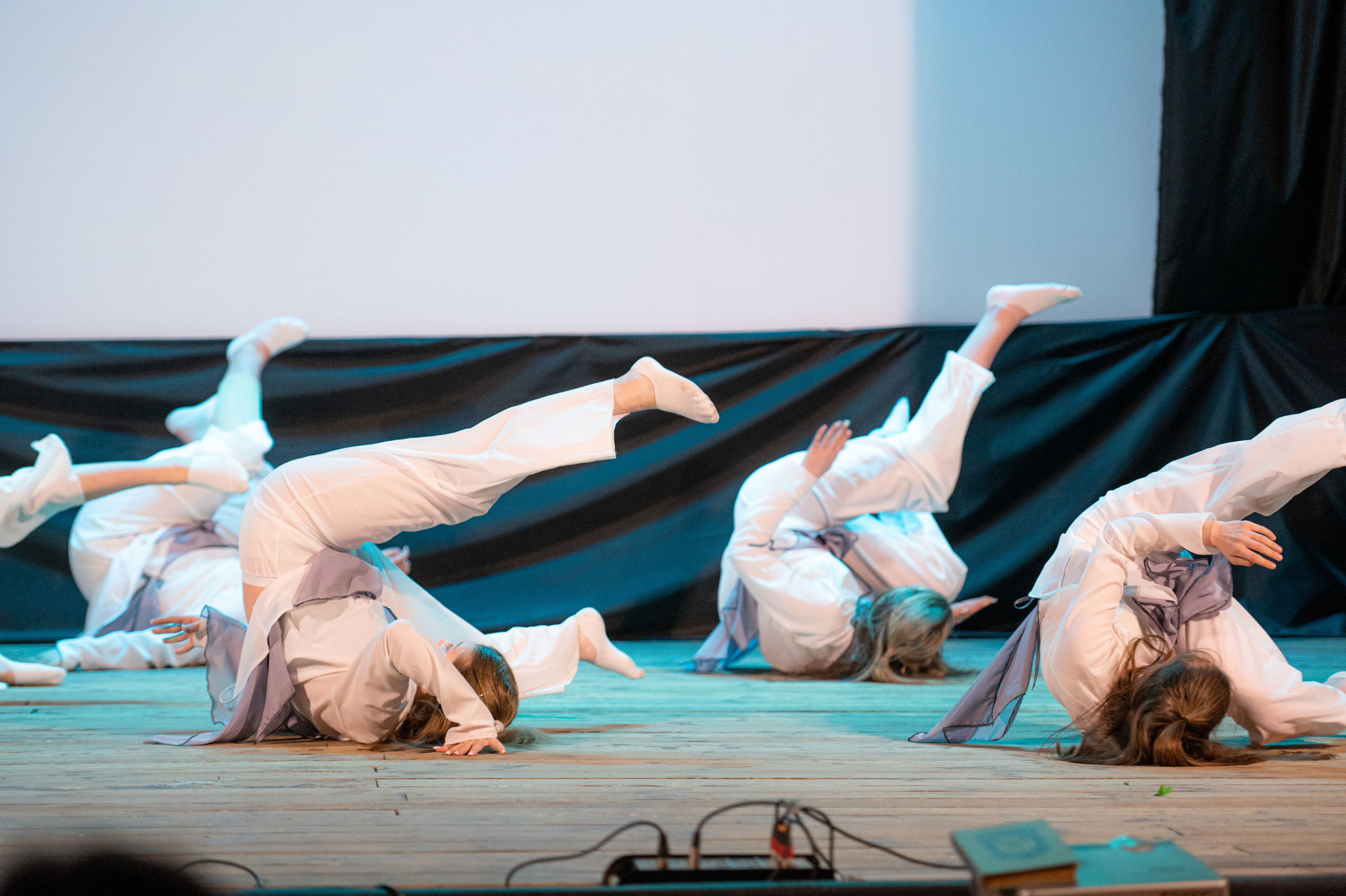 Истоки — концерт посвященный дню работников культуры. Конный и фотограф с животными в Твери Топталова Люся