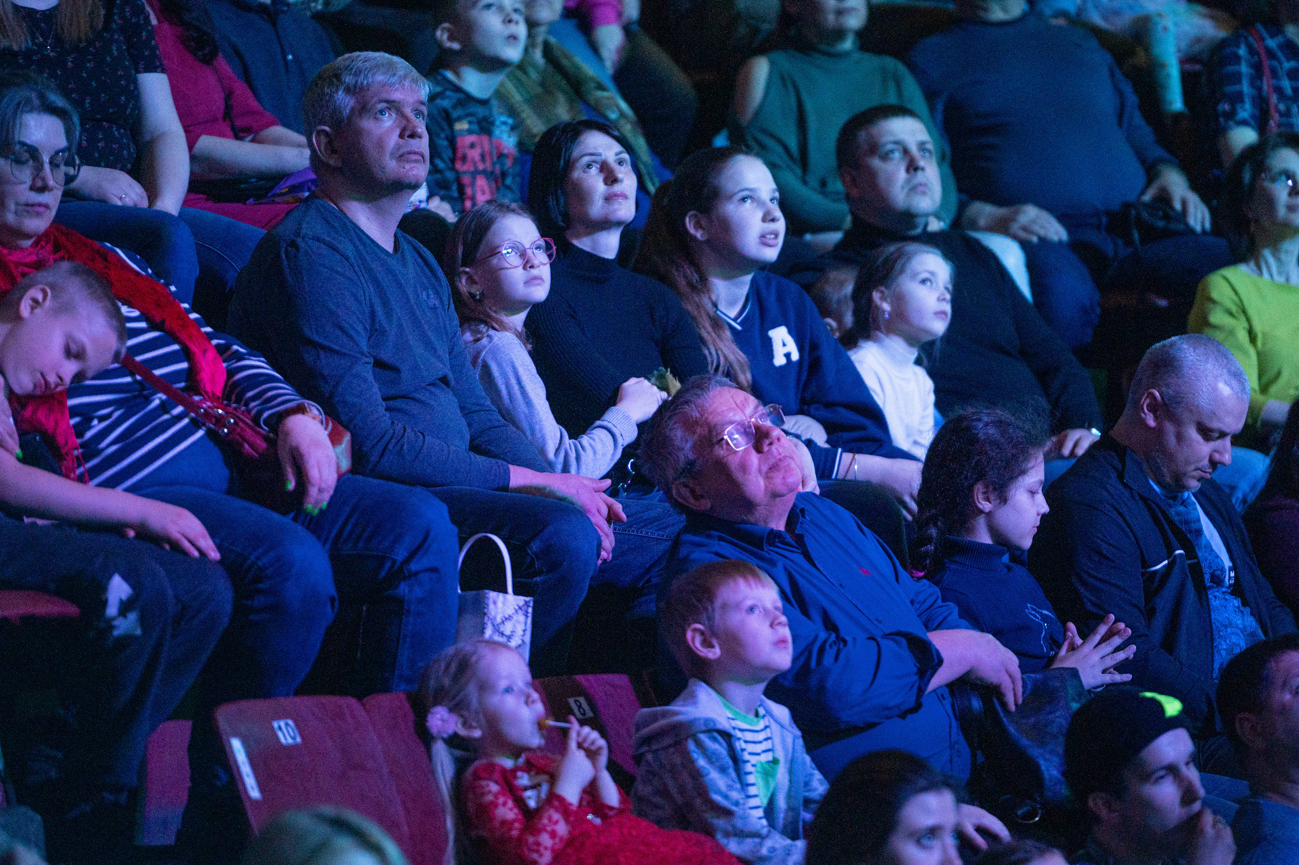 Тверской цирк «Юбилейная программа». Конный и фотограф с животными в Твери Топталова Люся