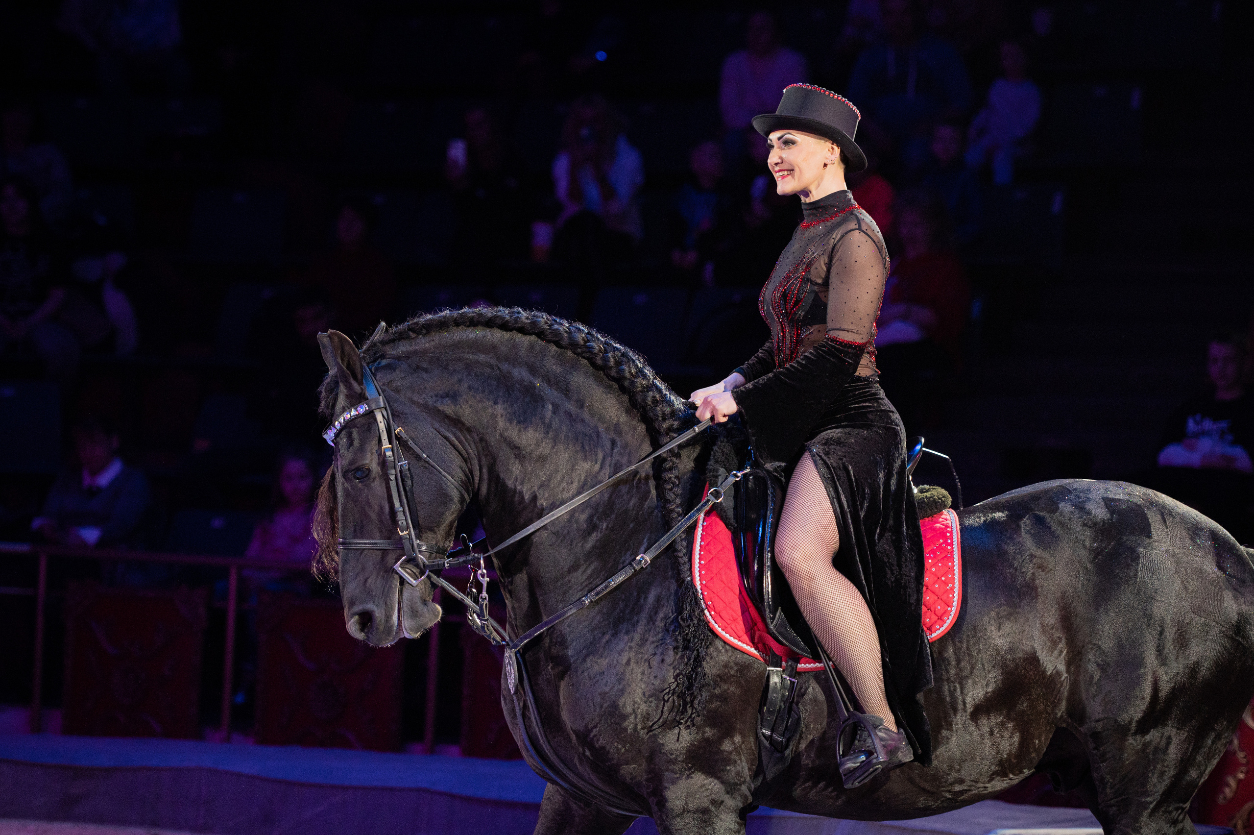 Тверской цирк «Юбилейная программа». Конный и фотограф с животными в Твери Топталова Люся