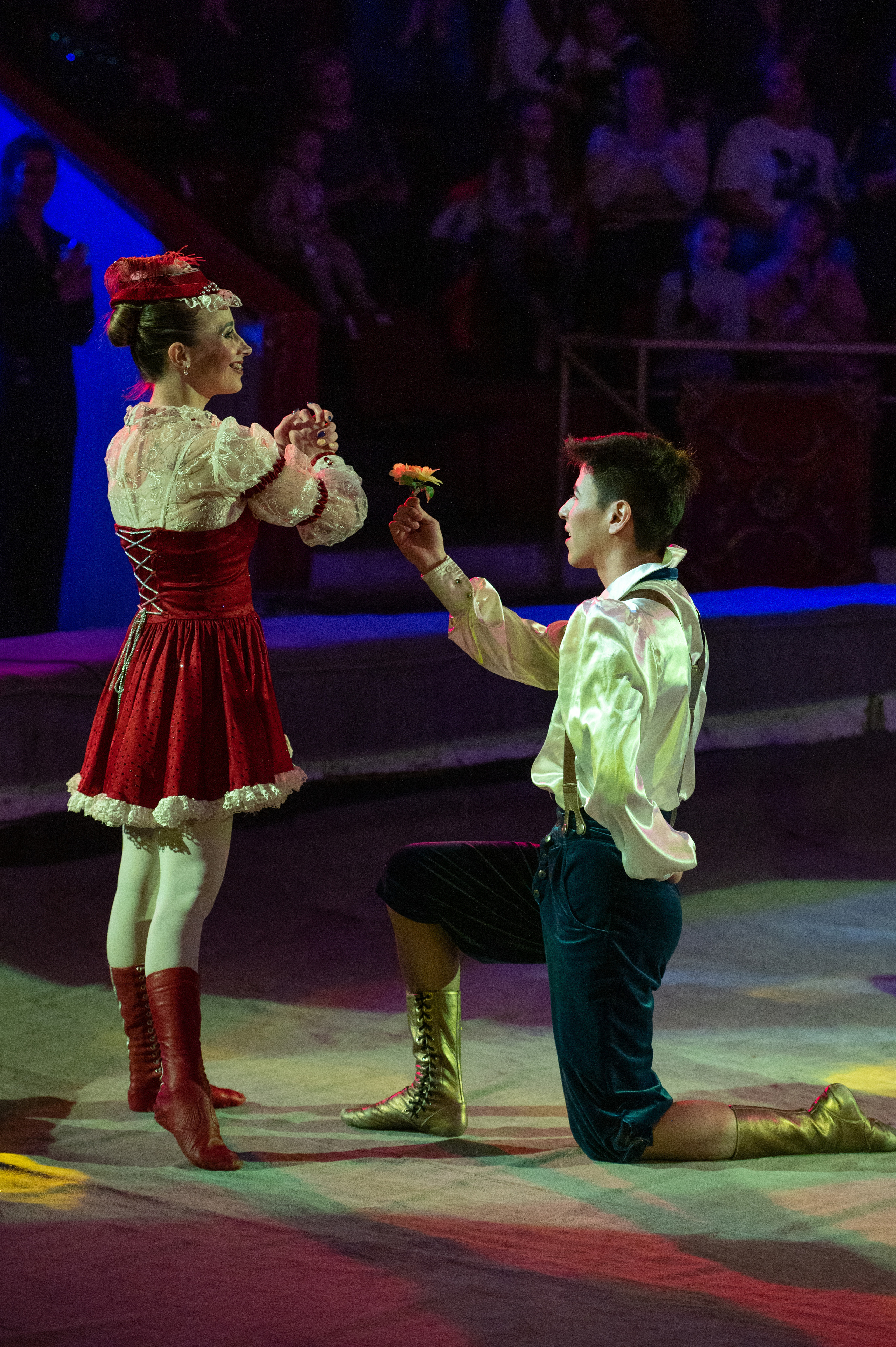 Тверской цирк «Юбилейная программа». Конный и фотограф с животными в Твери Топталова Люся