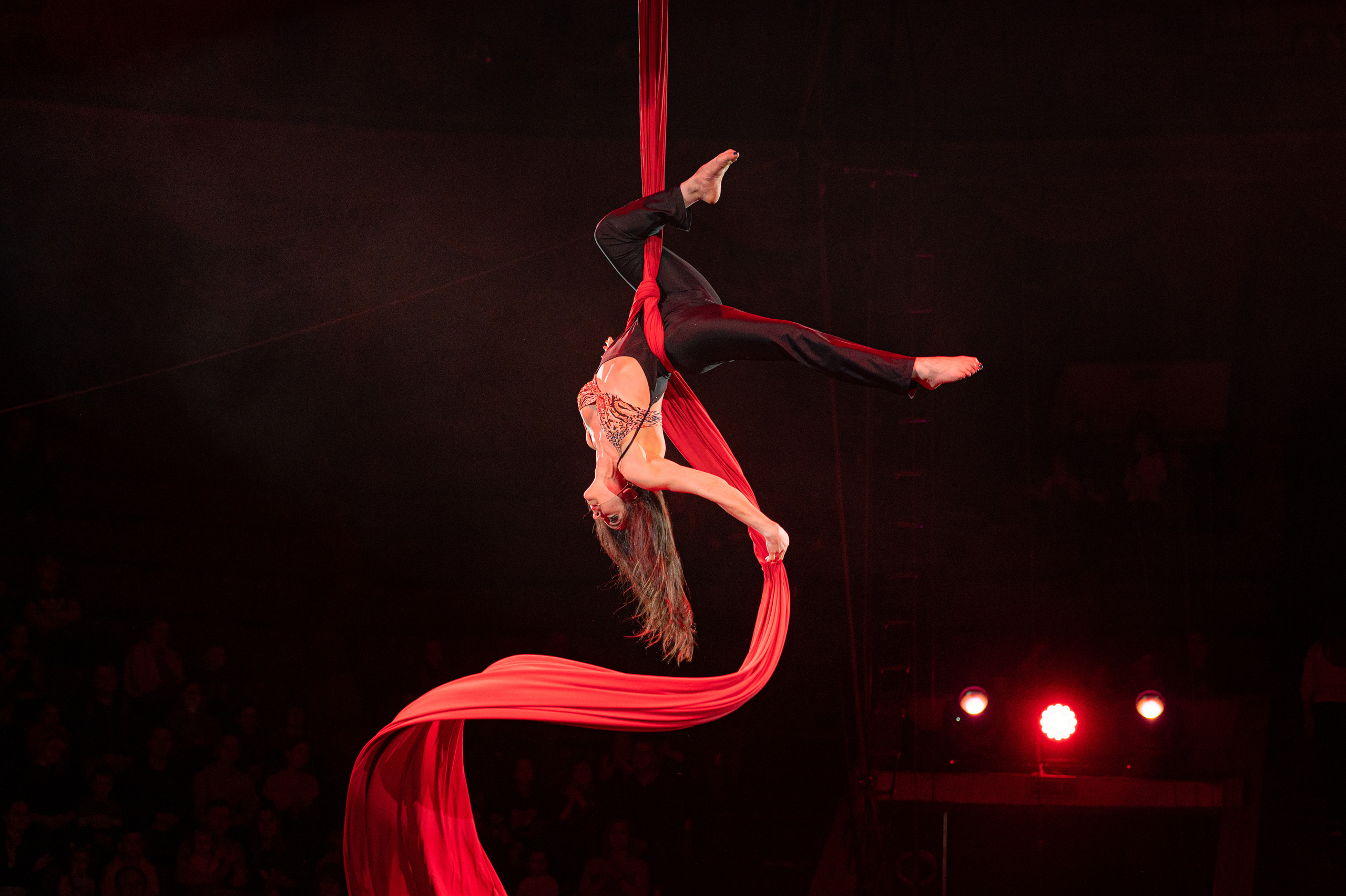 Тверской цирк «Юбилейная программа». Конный и фотограф с животными в Твери Топталова Люся