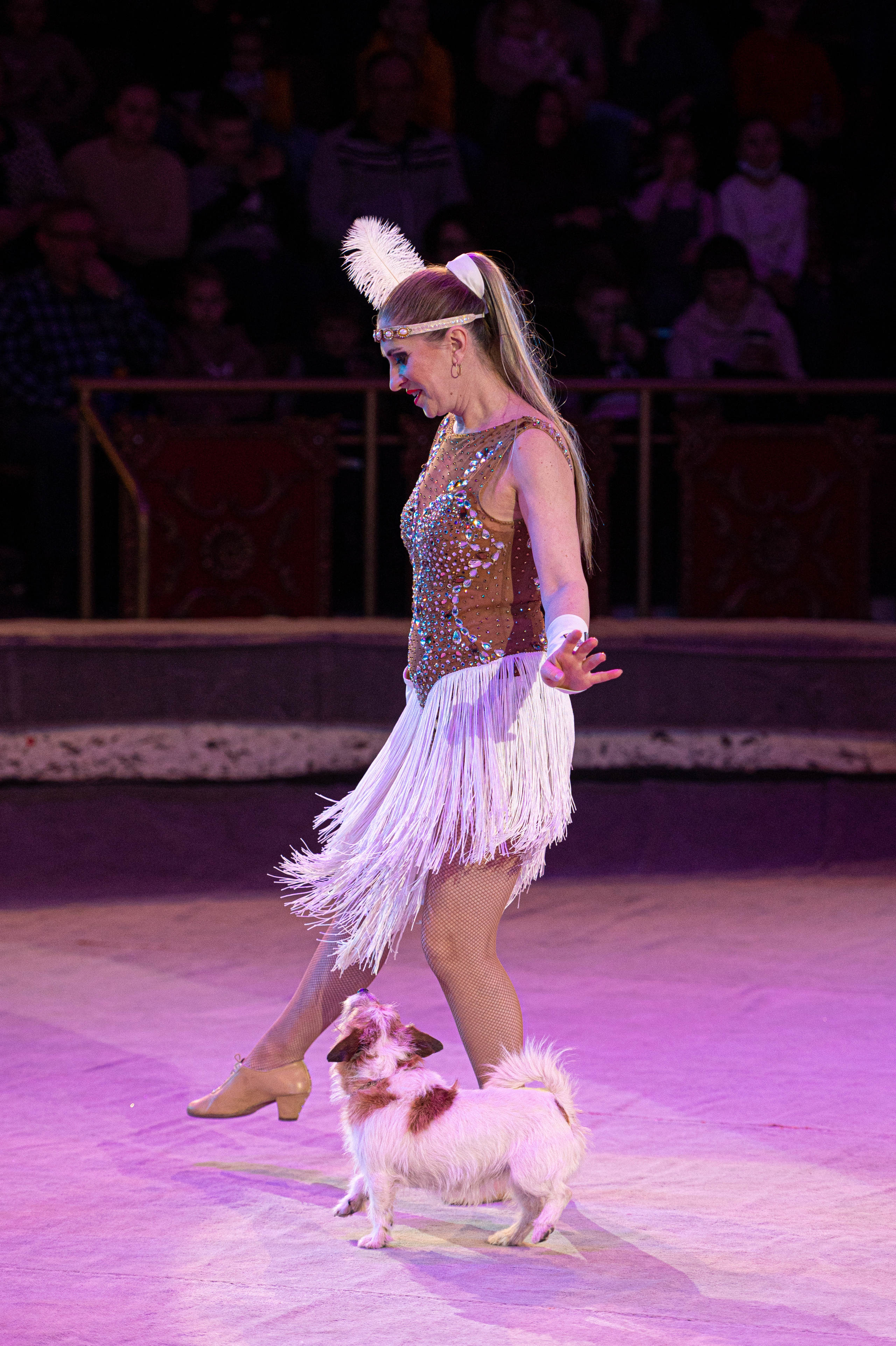Тверской цирк «Юбилейная программа». Конный и фотограф с животными в Твери Топталова Люся