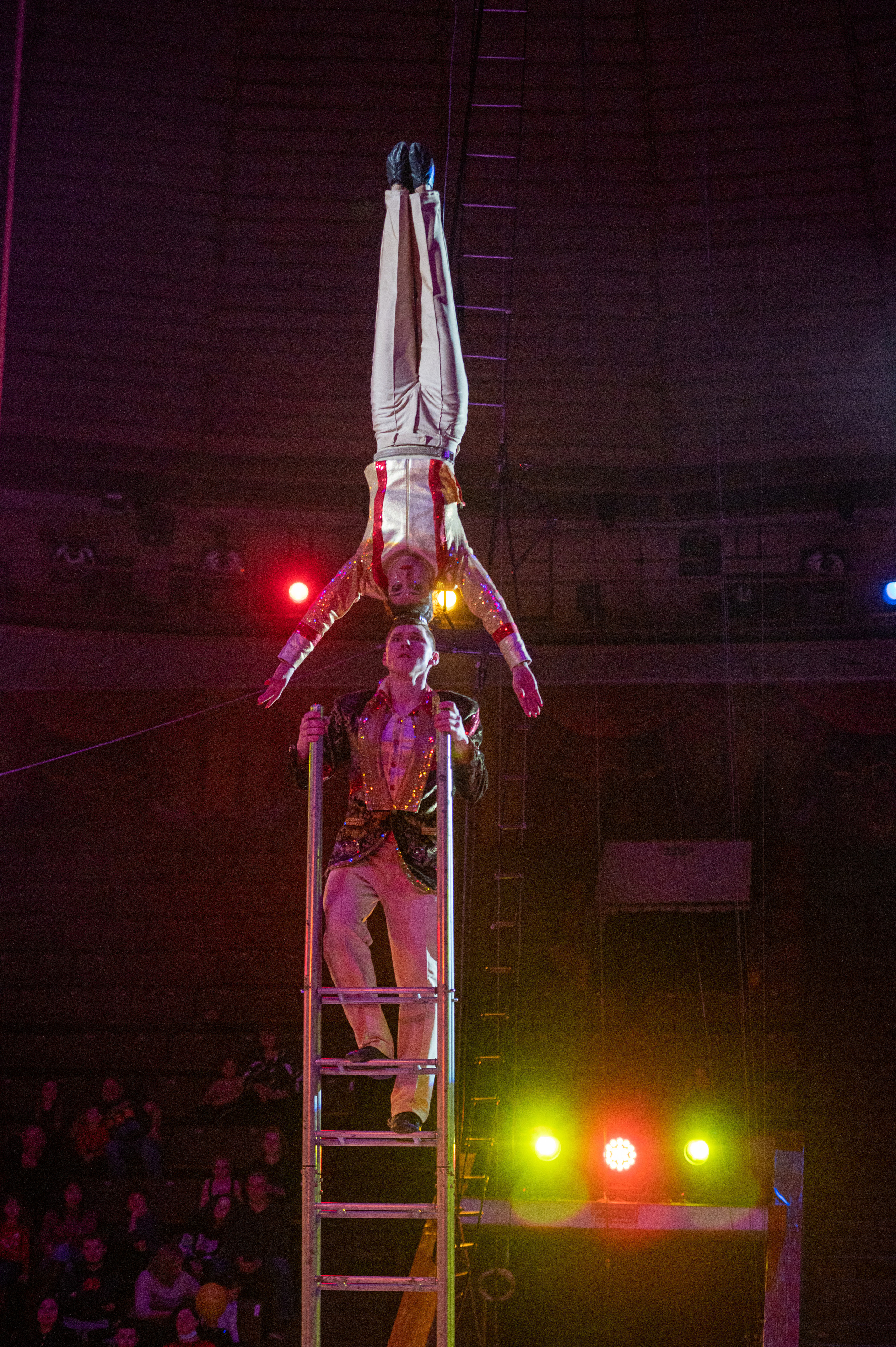 Тверской цирк «Юбилейная программа». Конный и фотограф с животными в Твери Топталова Люся