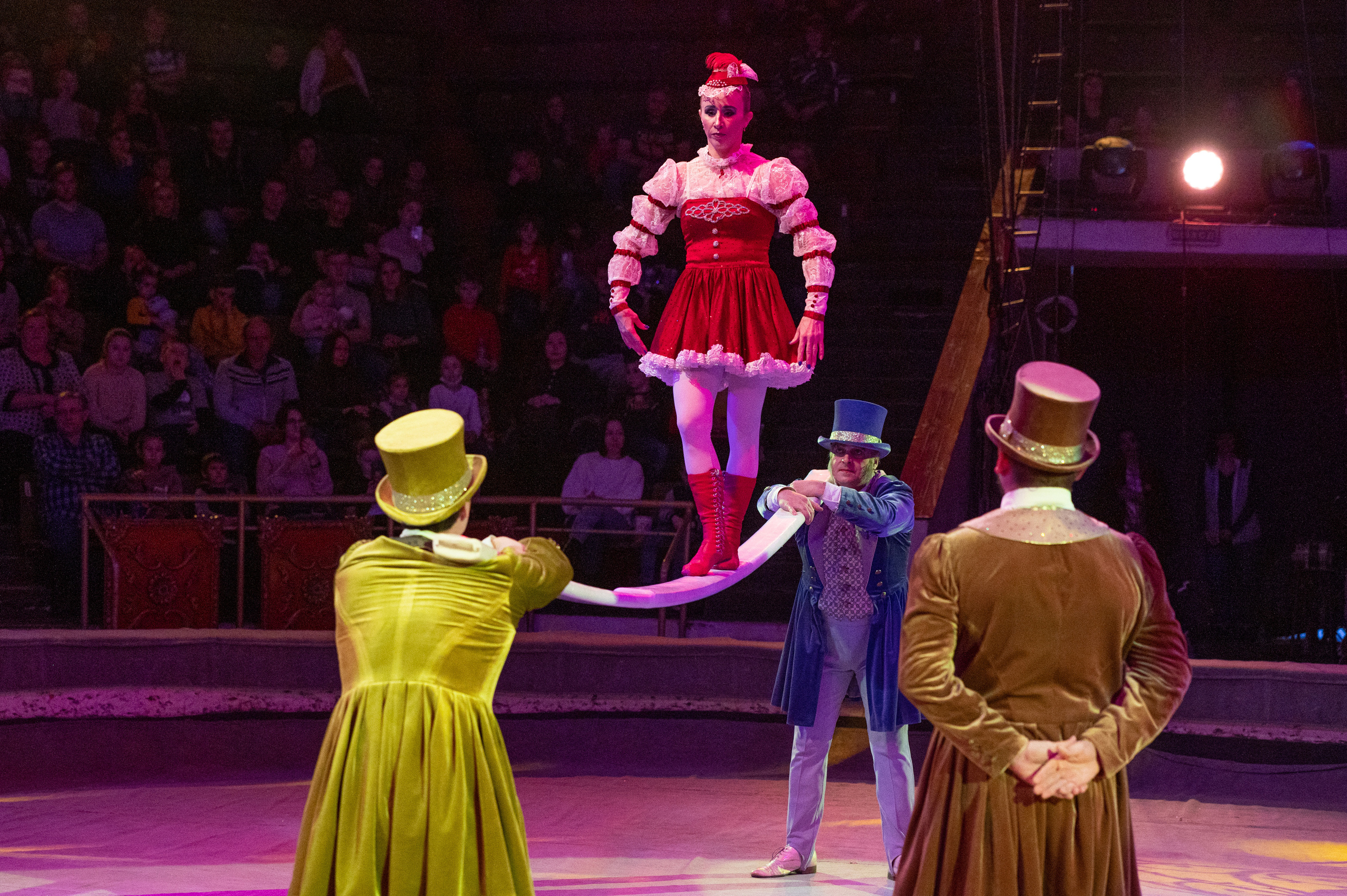 Тверской цирк «Юбилейная программа». Конный и фотограф с животными в Твери Топталова Люся