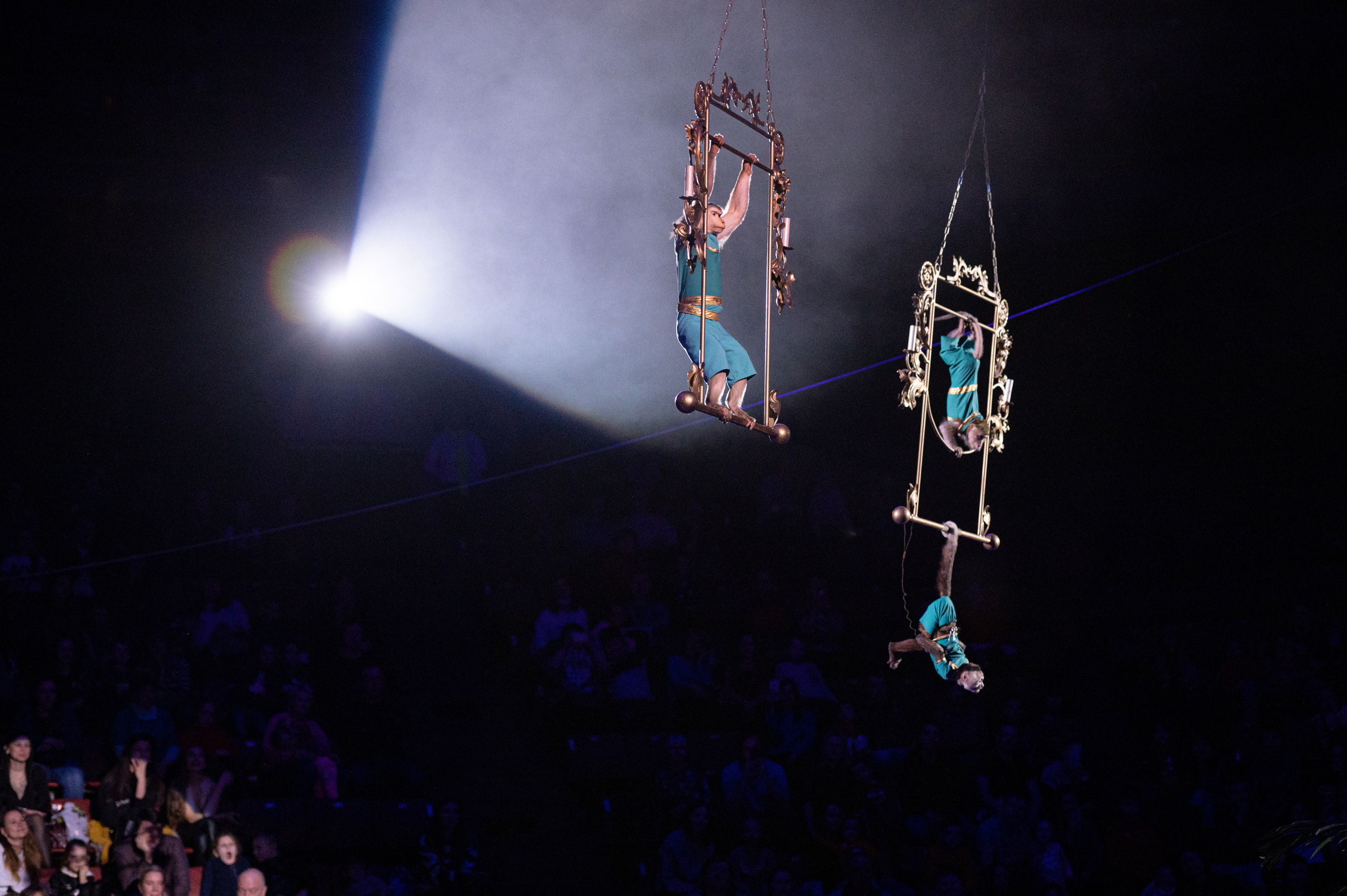 Тверской цирк «Юбилейная программа». Конный и фотограф с животными в Твери Топталова Люся