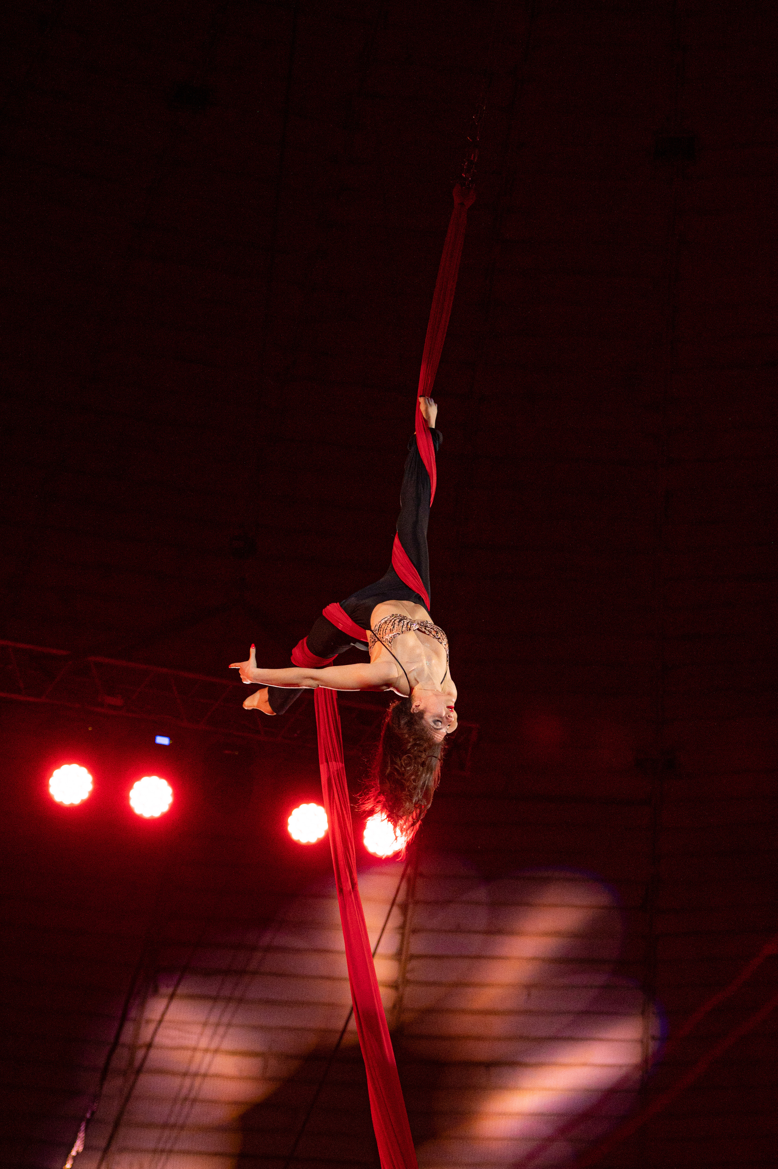 Тверской цирк «Юбилейная программа». Конный и фотограф с животными в Твери Топталова Люся