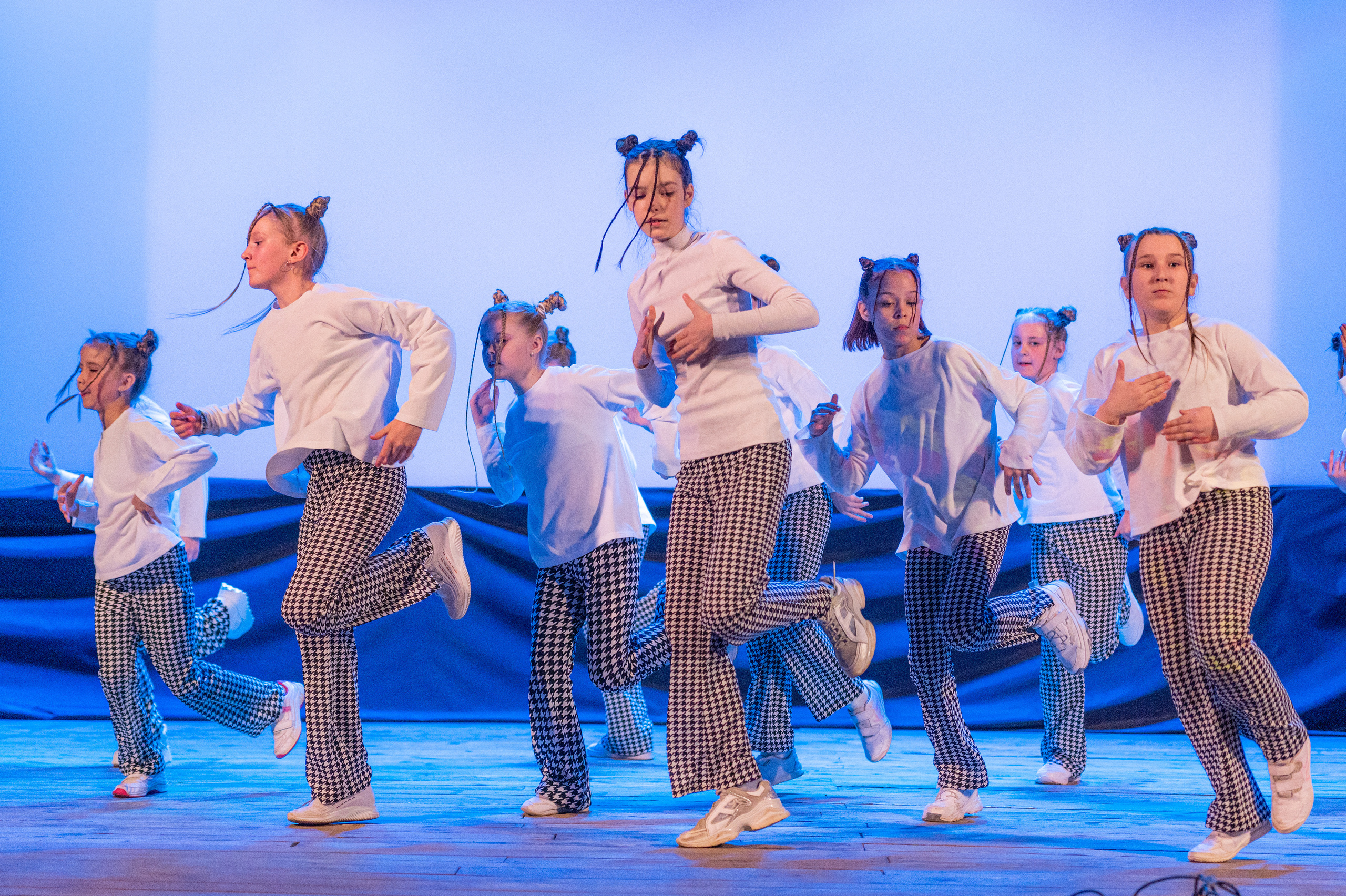 Истоки — концерт посвященный дню работников культуры. Конный и фотограф с животными в Твери Топталова Люся