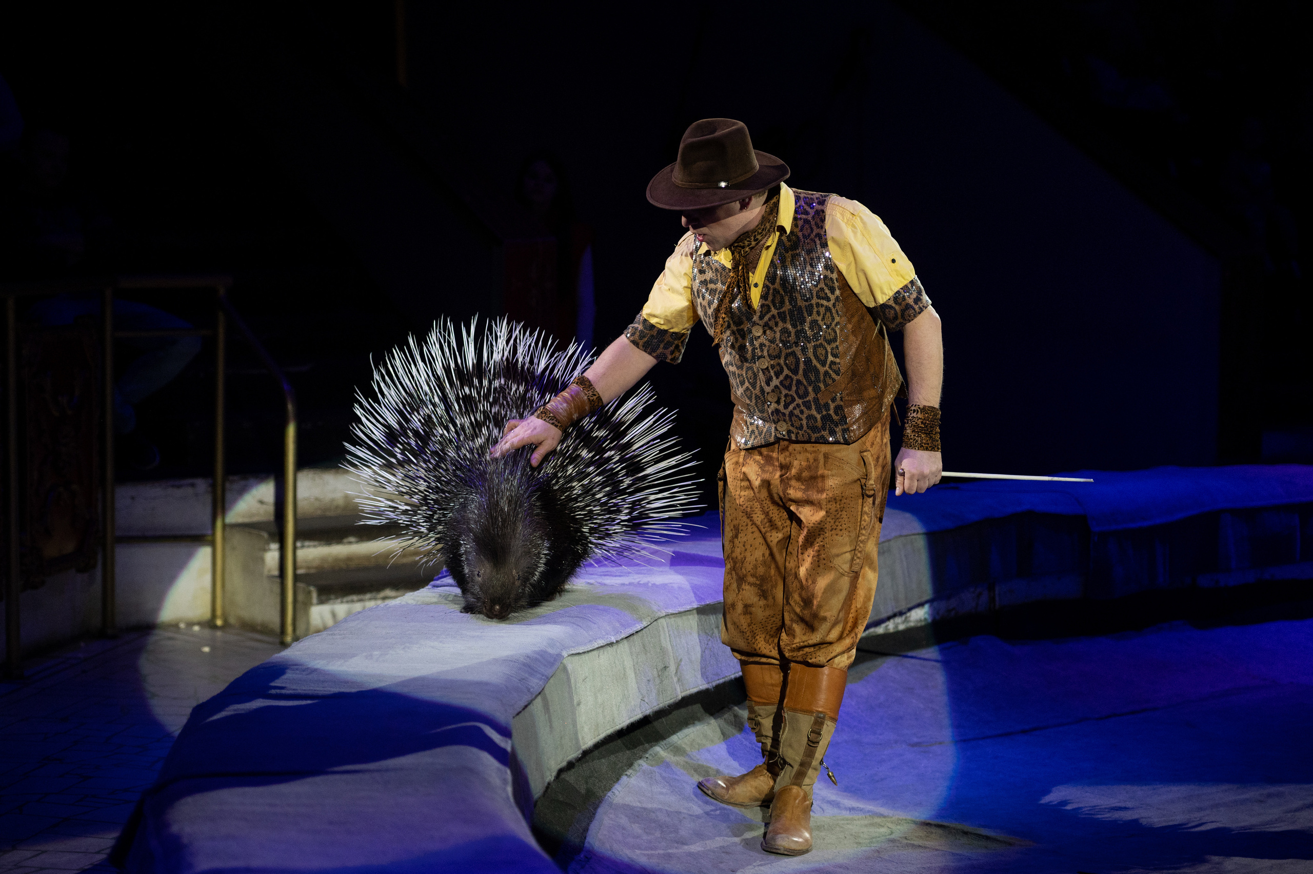 Тверской цирк «Юбилейная программа». Конный и фотограф с животными в Твери Топталова Люся