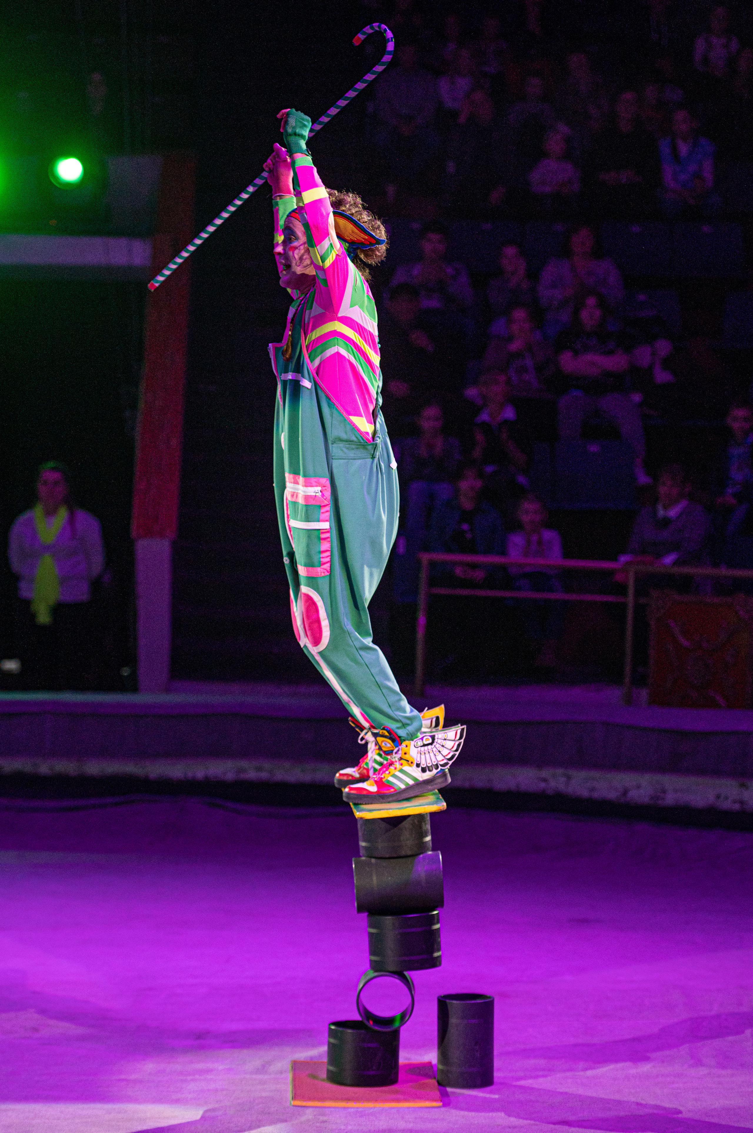 Тверской цирк «Юбилейная программа». Конный и фотограф с животными в Твери Топталова Люся