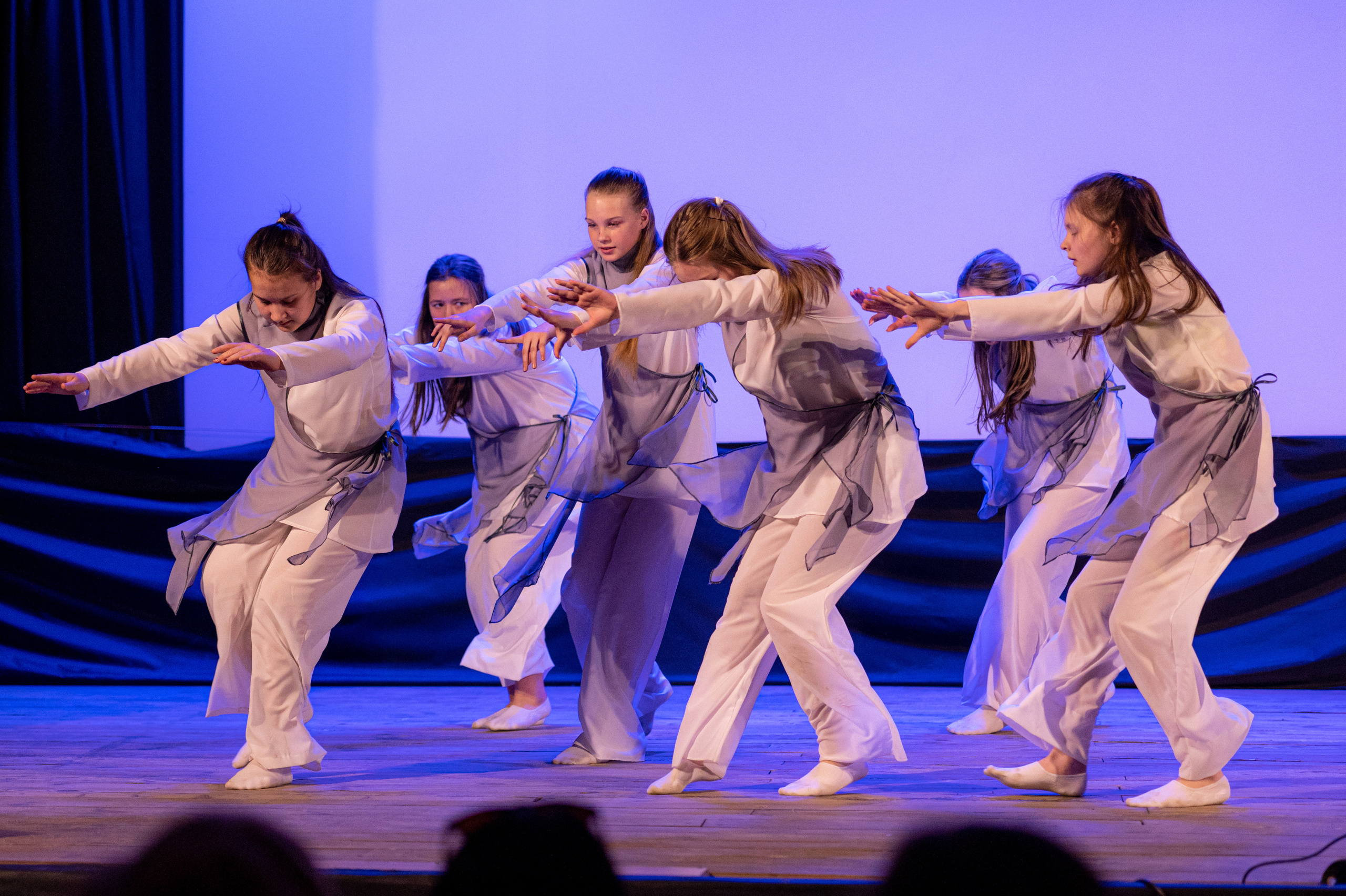 Истоки — концерт посвященный дню работников культуры. Конный и фотограф с животными в Твери Топталова Люся