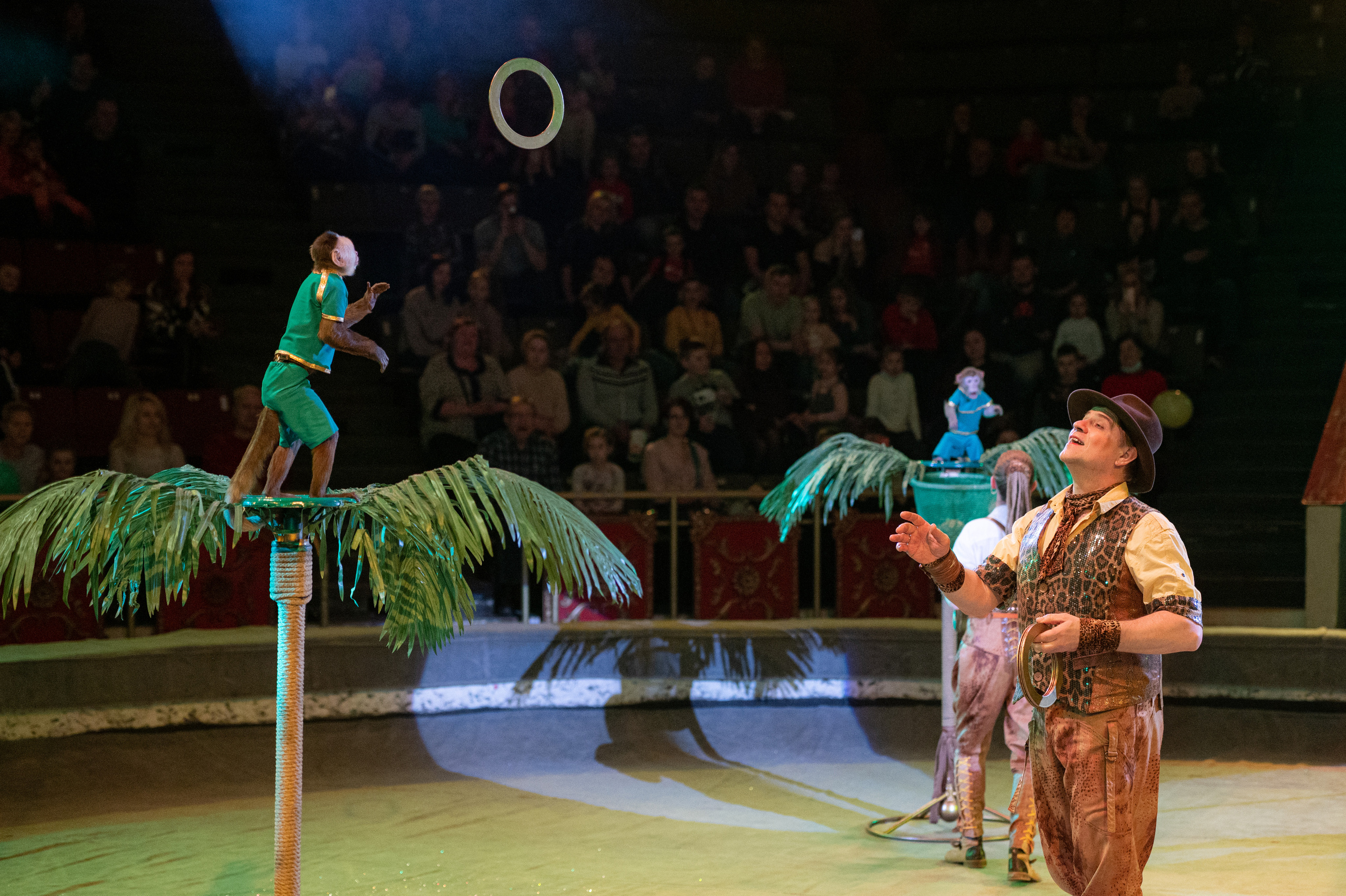 Тверской цирк «Юбилейная программа». Конный и фотограф с животными в Твери Топталова Люся