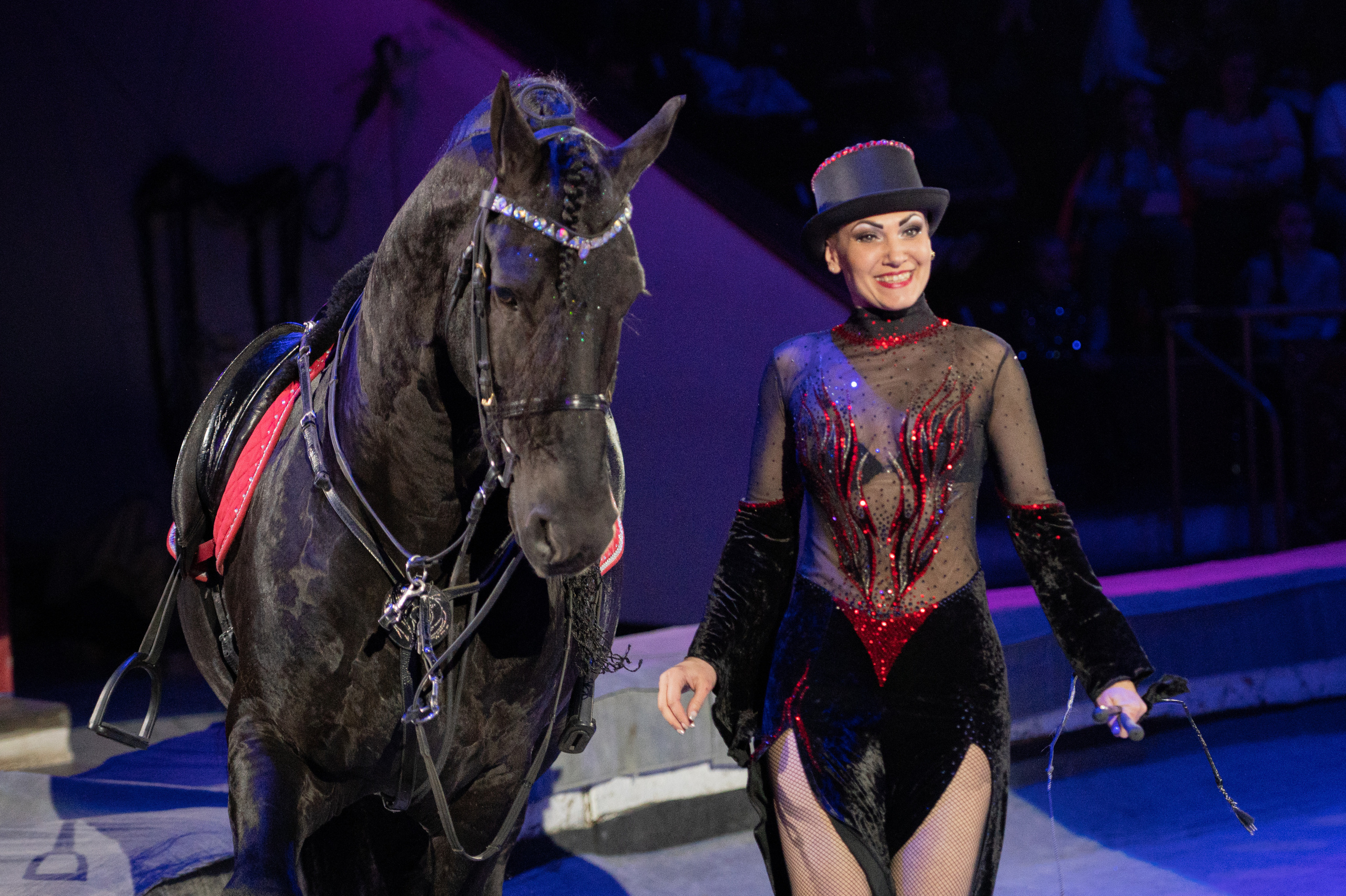 Тверской цирк «Юбилейная программа». Конный и фотограф с животными в Твери Топталова Люся