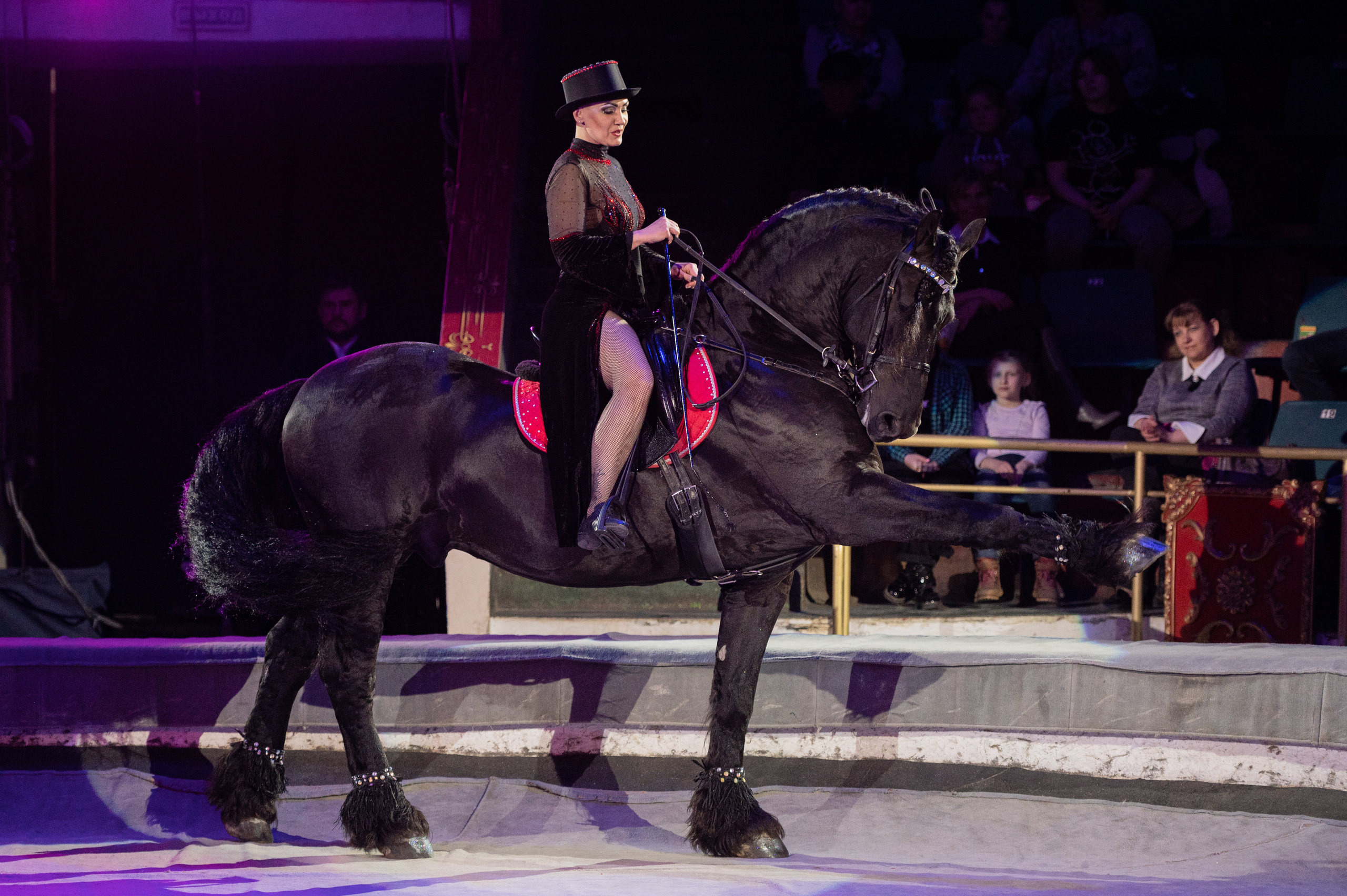 Тверской цирк «Юбилейная программа». Конный и фотограф с животными в Твери Топталова Люся