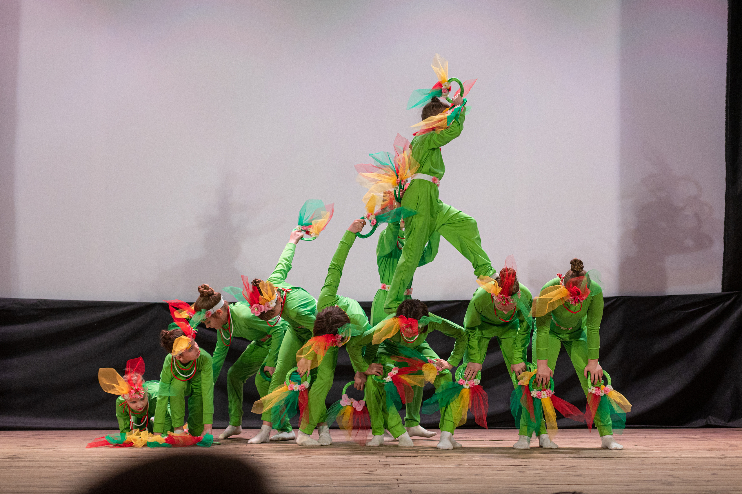 Истоки — концерт посвященный дню работников культуры. Конный и фотограф с животными в Твери Топталова Люся